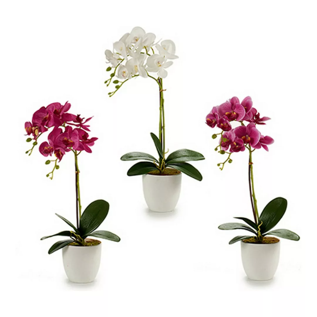Blumentopf Orchid Weiß Kunststoff (51 Cm) günstig online kaufen