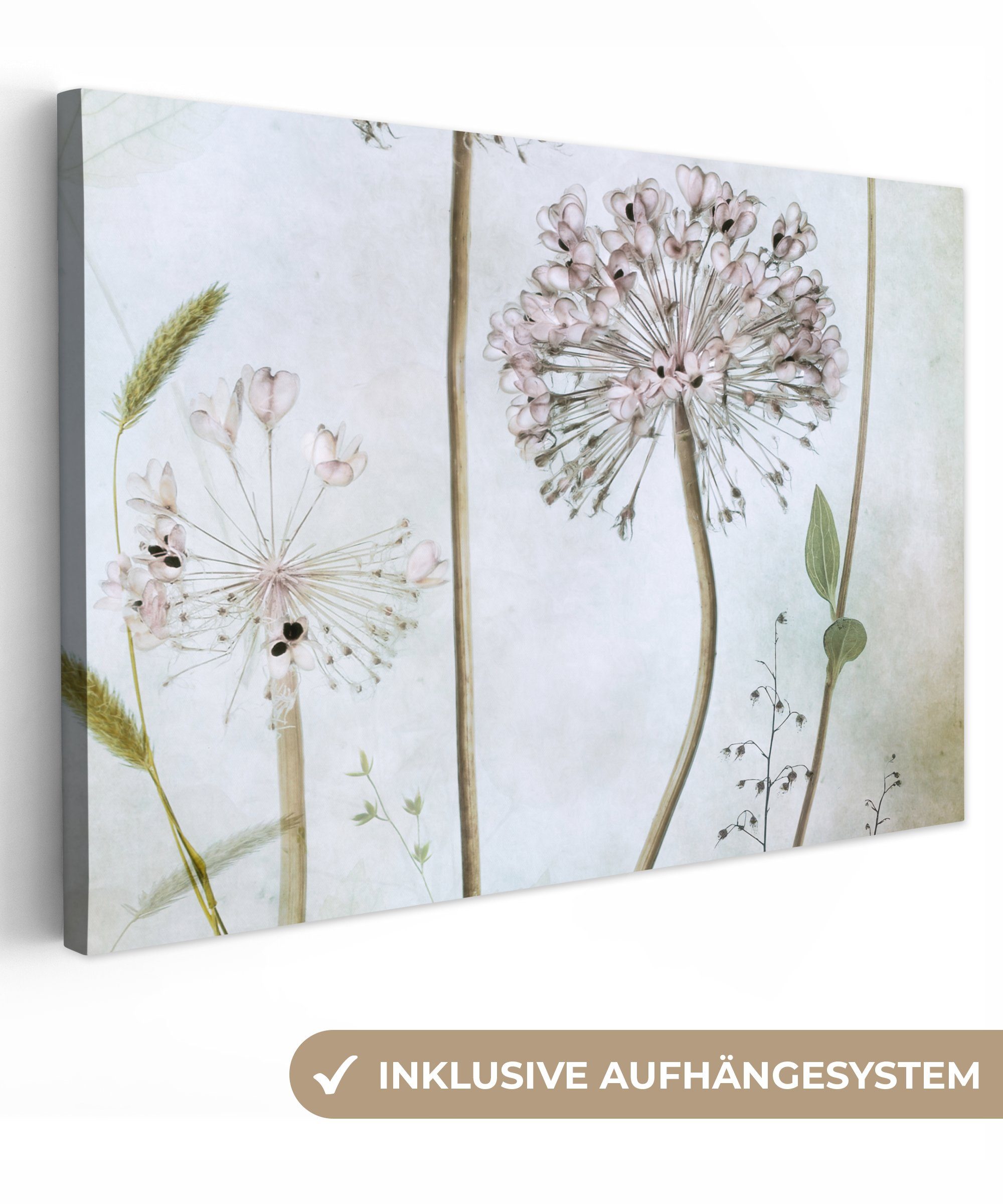 OneMillionCanvasses® Leinwandbild Blumen - Dekorative Zwiebel günstig online kaufen