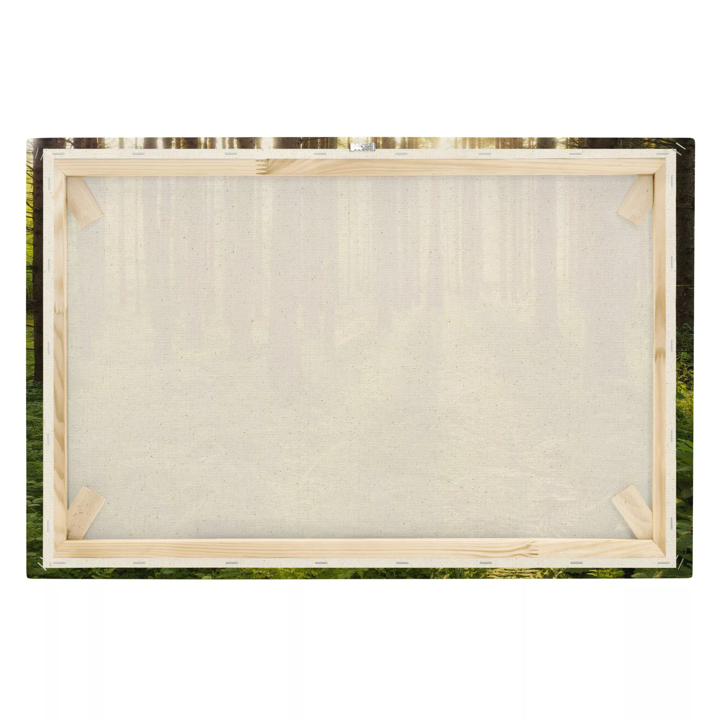 Leinwandbild auf Canvas Natural Sonnenstrahlen in grünem Wald günstig online kaufen