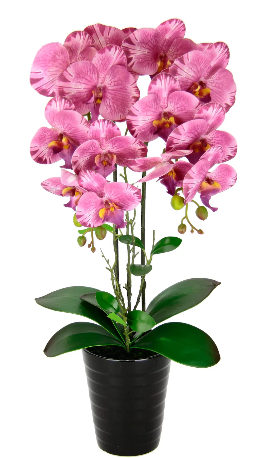 I.GE.A. Kunstblume "Orchidee" günstig online kaufen