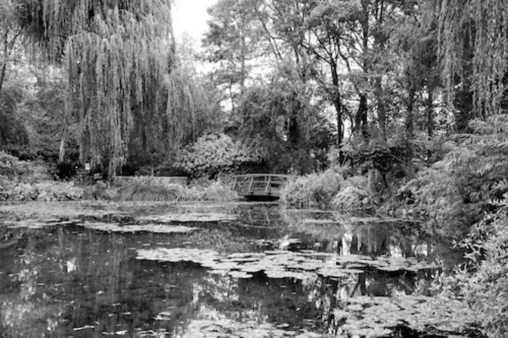 Papermoon Fototapete »Wald Schwarz & Weiß« günstig online kaufen