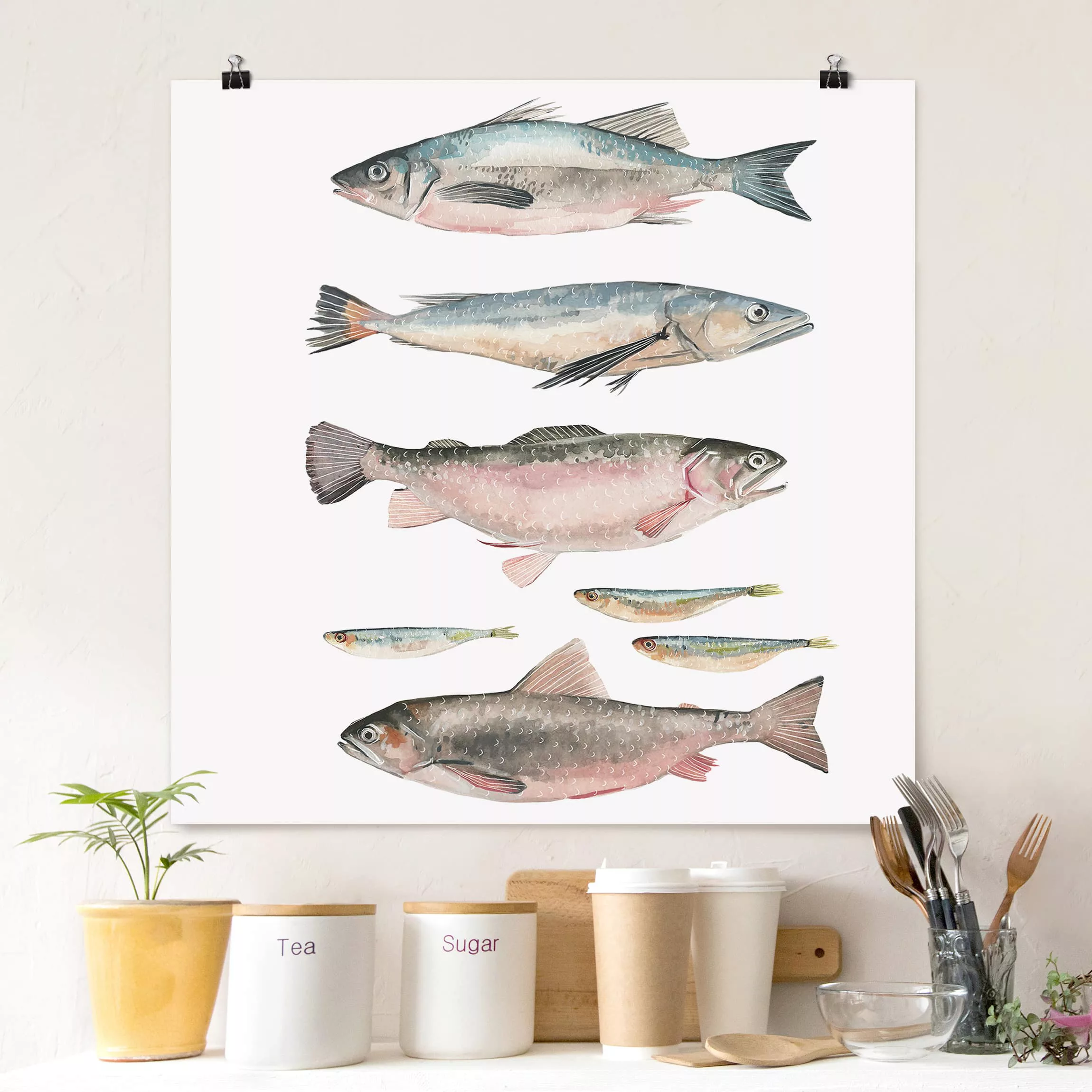 Poster Tiere - Quadrat Sieben Fische in Aquarell I günstig online kaufen