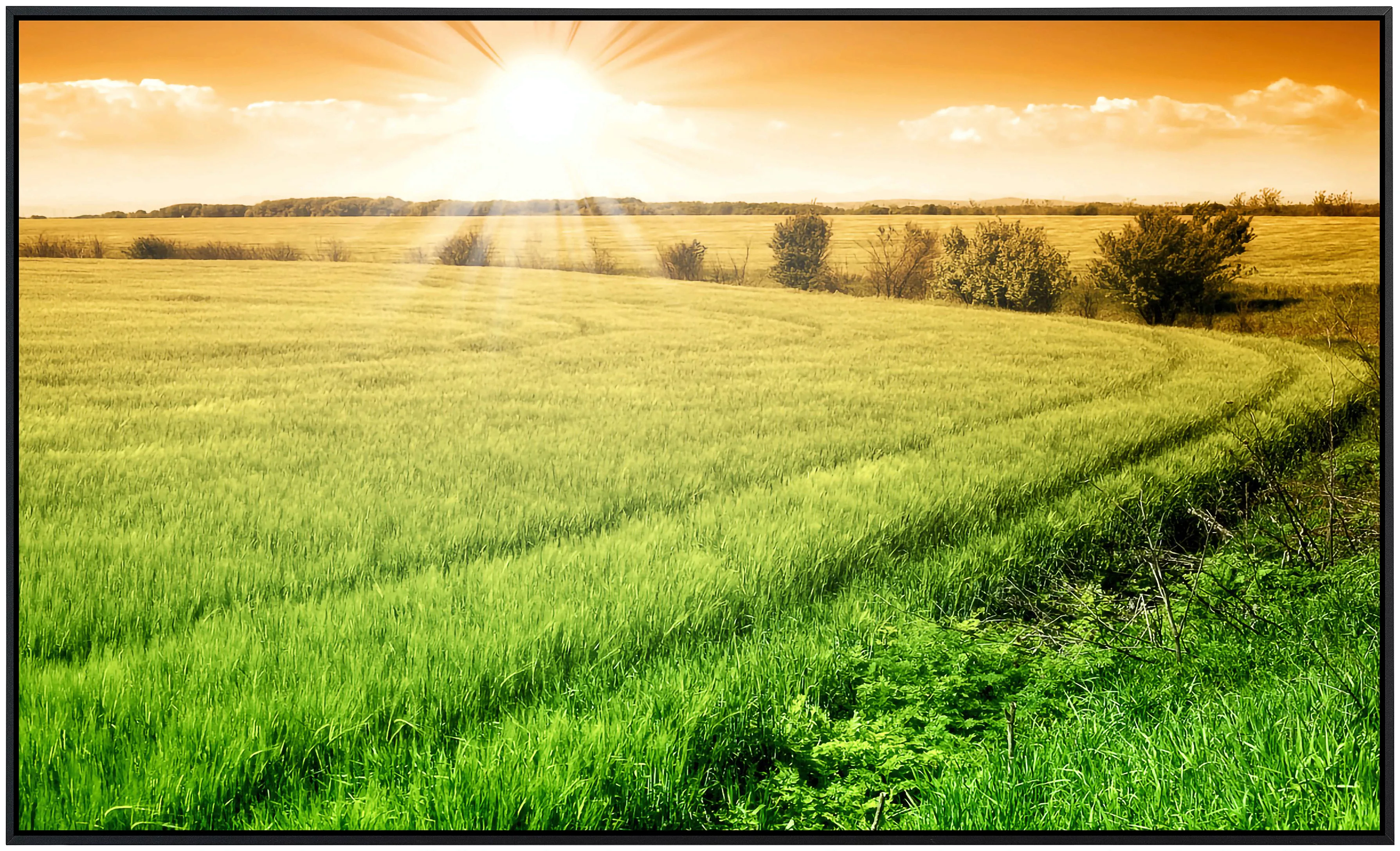 Papermoon Infrarotheizung »Feld des frischen Getreides«, sehr angenehme Str günstig online kaufen