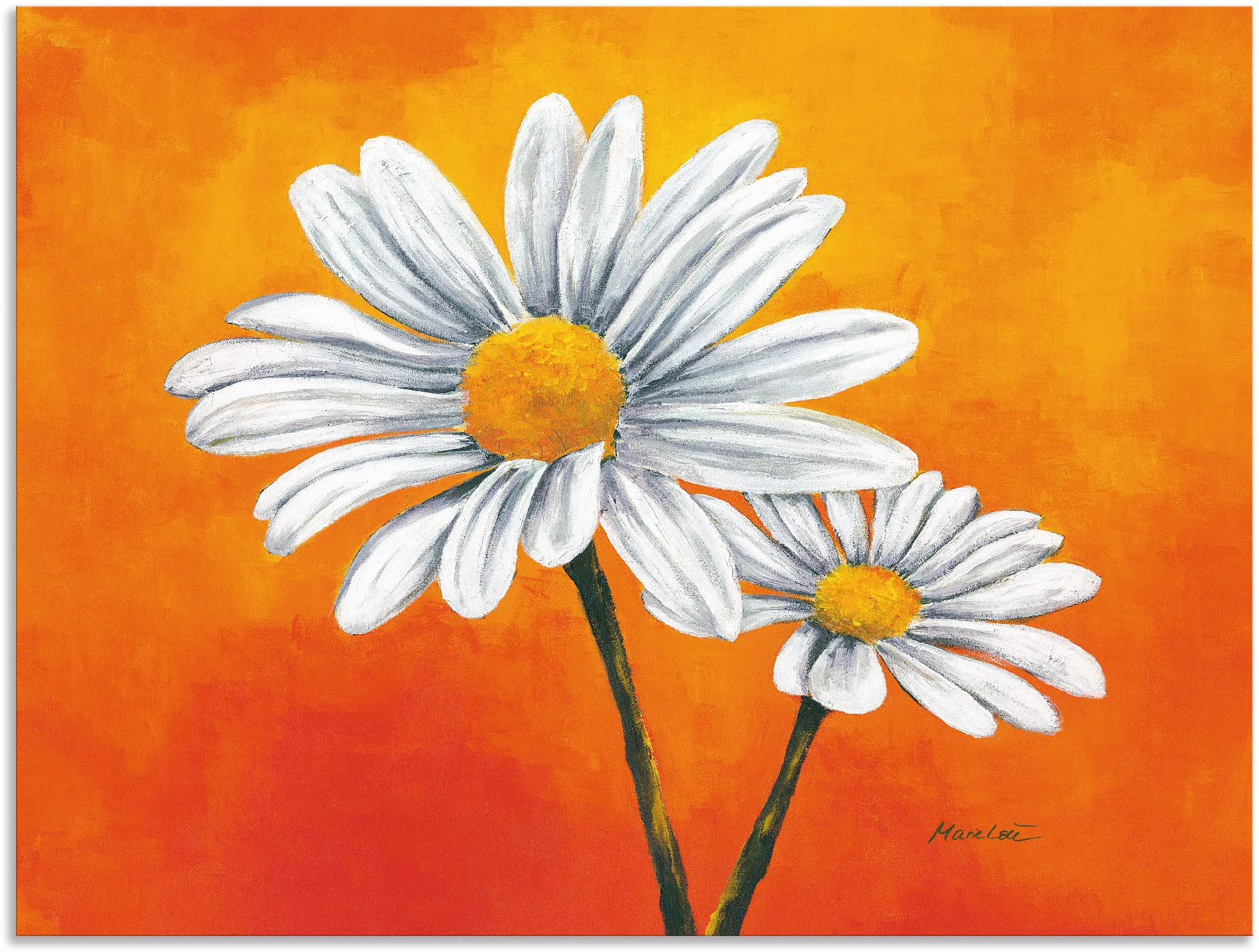 Artland Wandbild "Margeriten auf Orange", Blumen, (1 St.), als Alubild, Lei günstig online kaufen