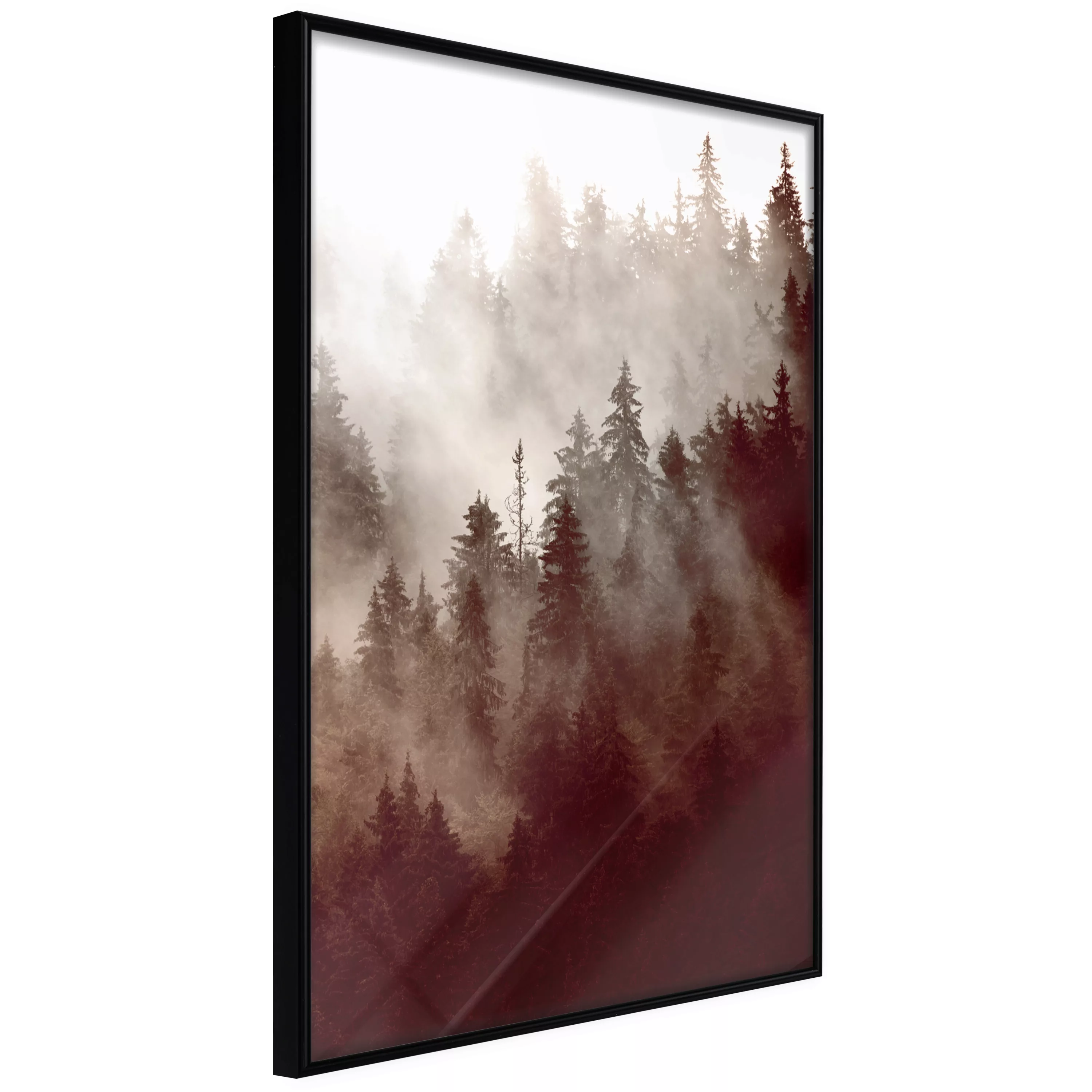 Poster - Forest Fog günstig online kaufen