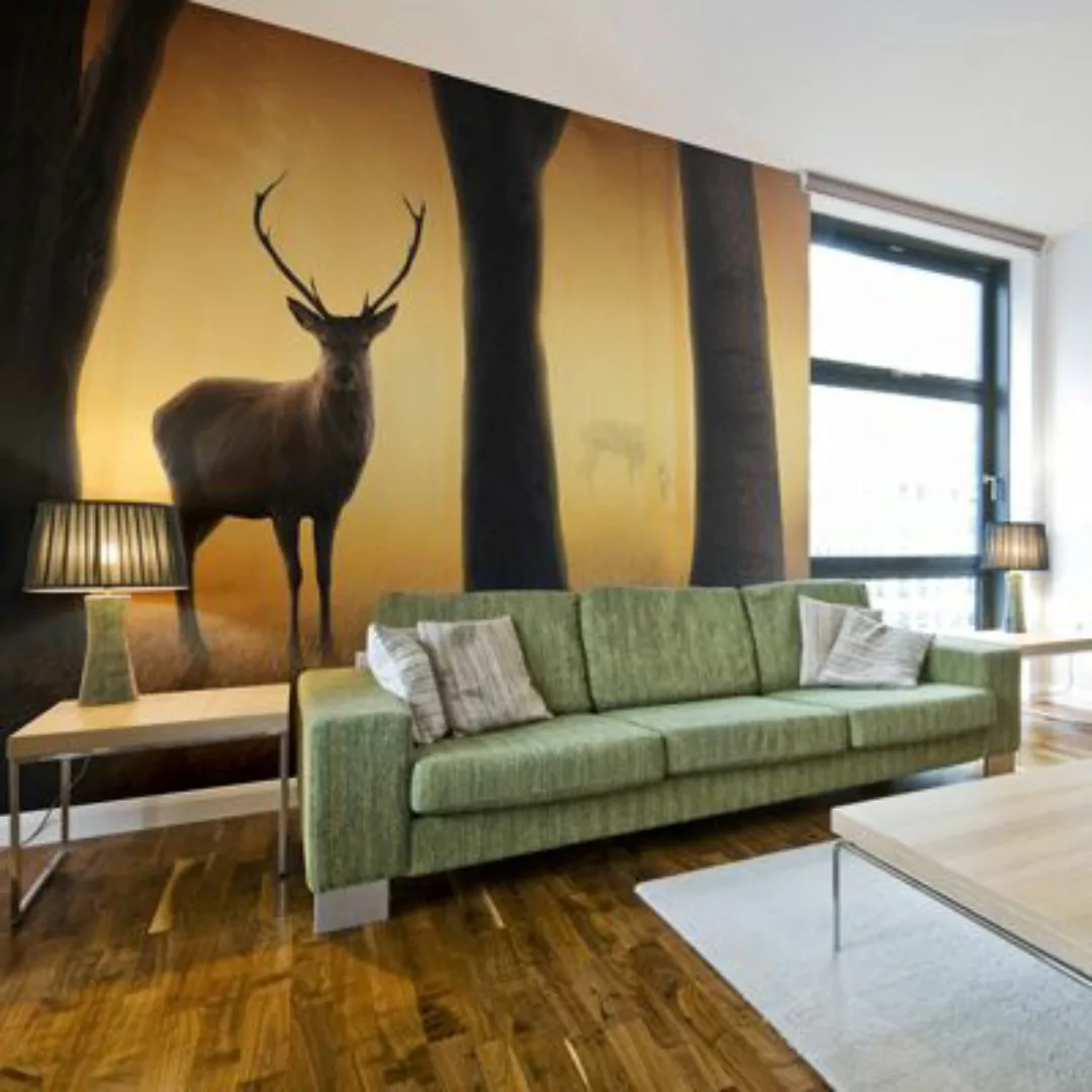 artgeist Fototapete Deer in his natural habitat orange-kombi Gr. 200 x 154 günstig online kaufen