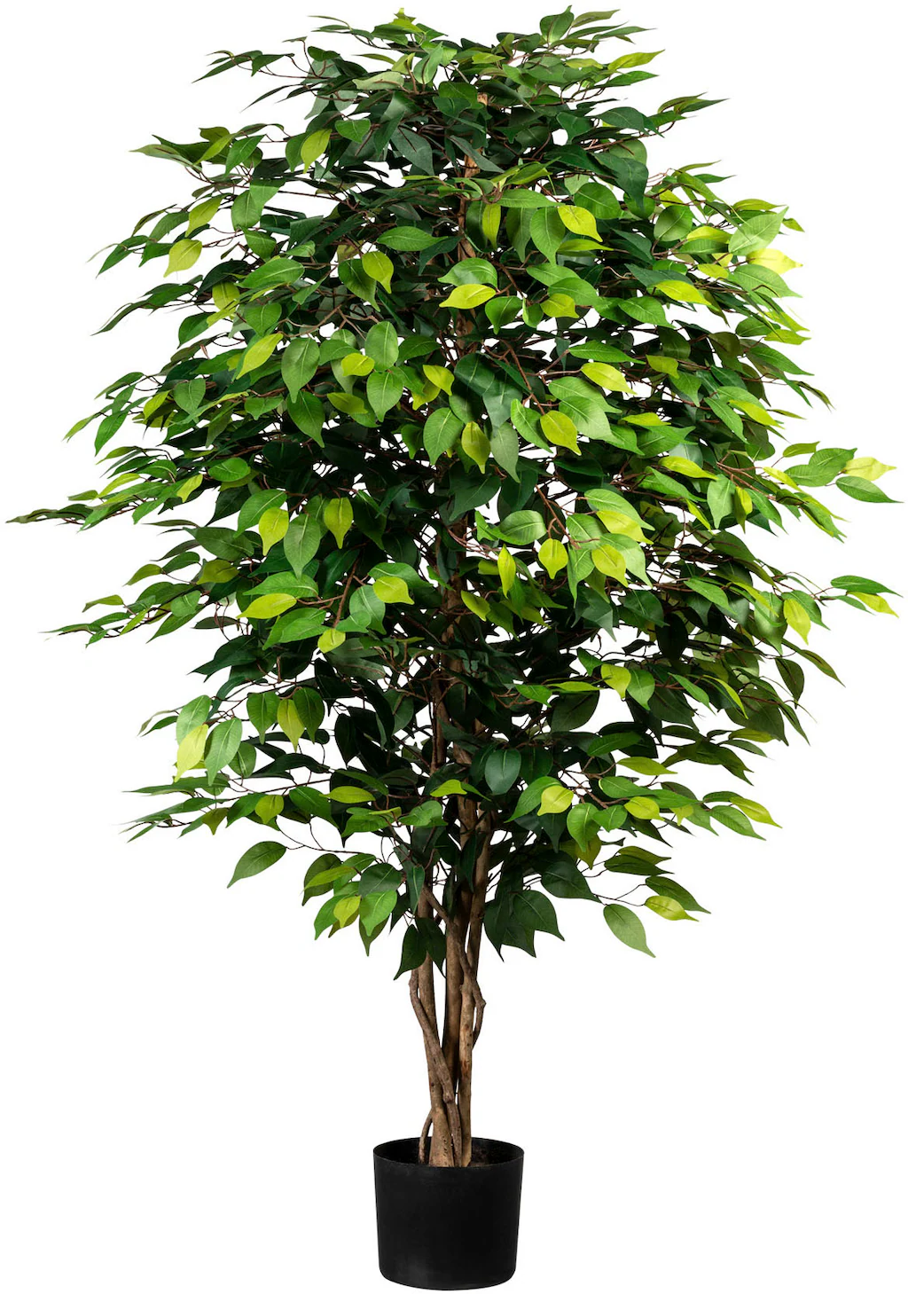 Creativ green Kunstpflanze "Ficus Benjamini" günstig online kaufen