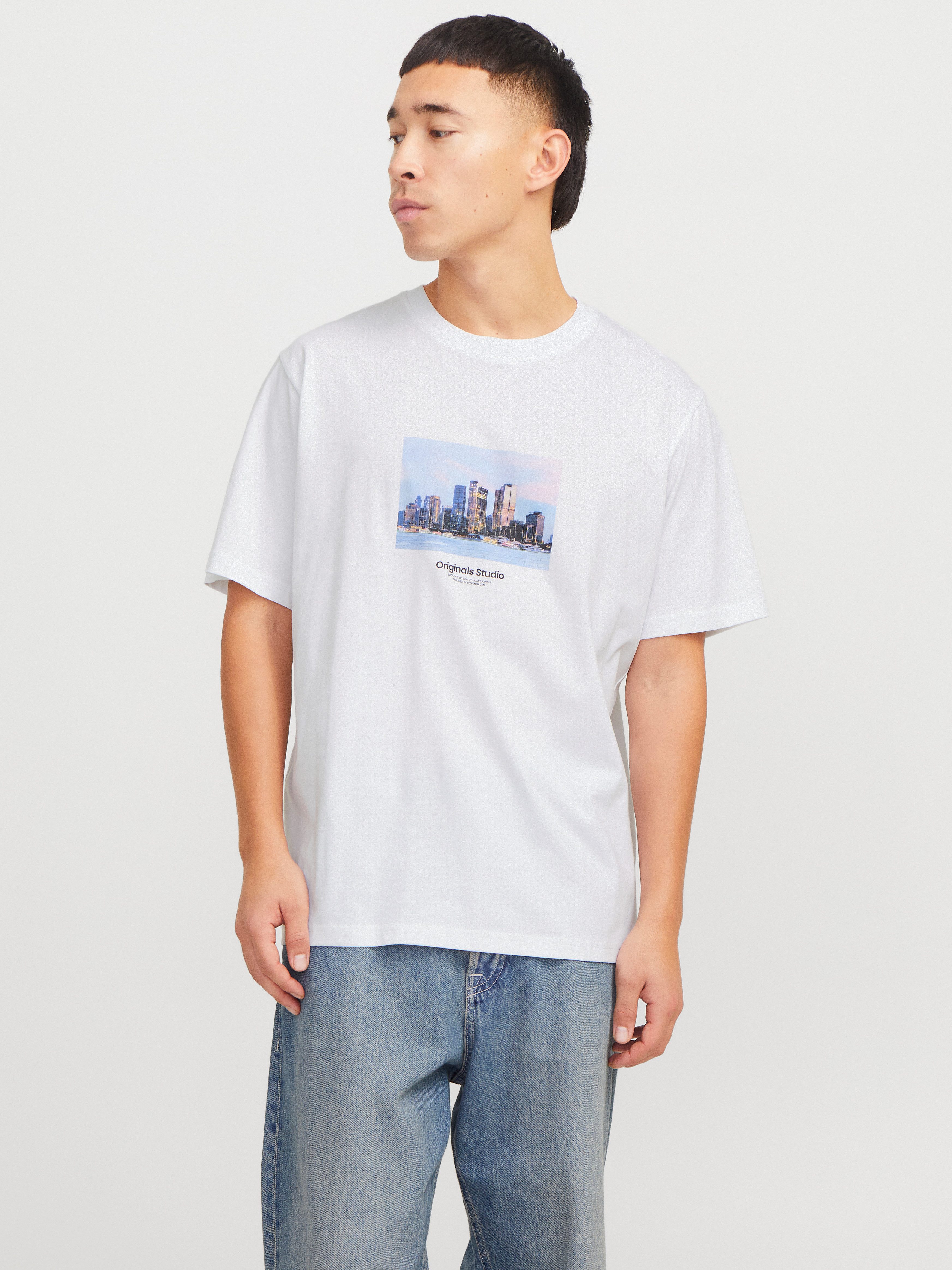 Jack & Jones Kurzarmshirt JORVESTERBRO PICTURE günstig online kaufen