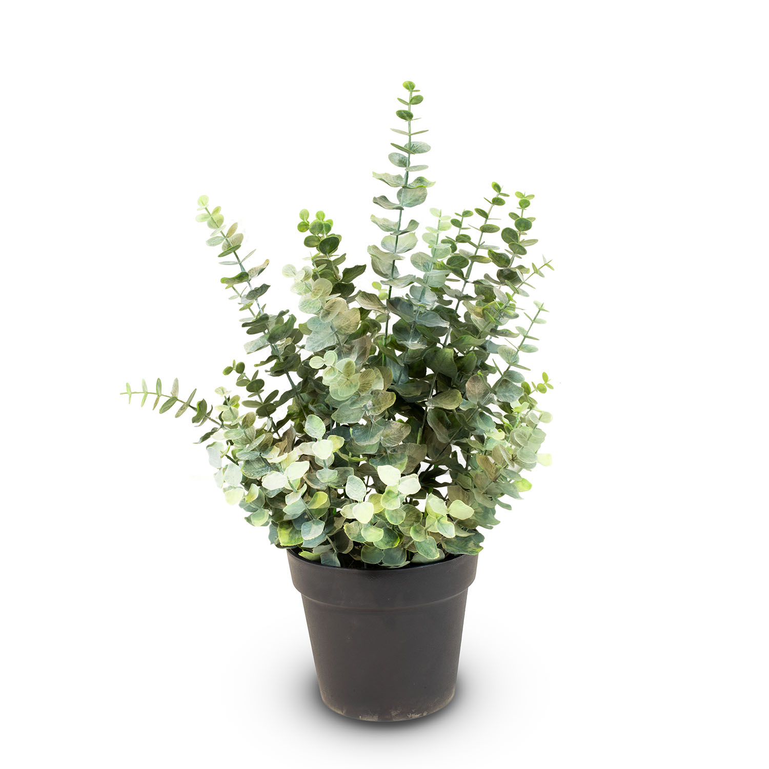 Künstliche Eucalyptus Pflanze, Höhe 66 cm günstig online kaufen