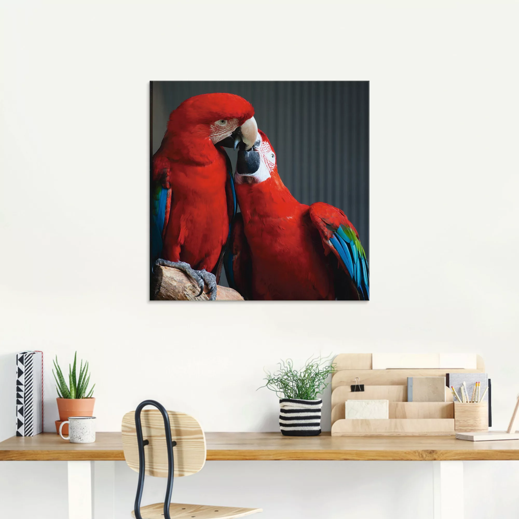 Artland Glasbild "Papageien", Vögel, (1 St.), in verschiedenen Größen günstig online kaufen