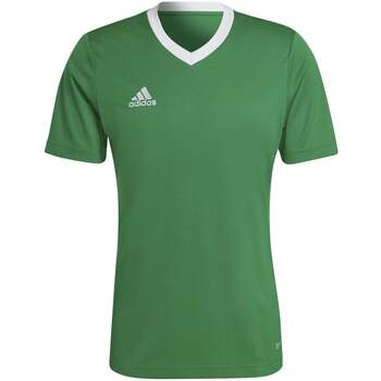 adidas  T-Shirts & Poloshirts T-Shirt Ent22 Jsy Teagrn/W günstig online kaufen