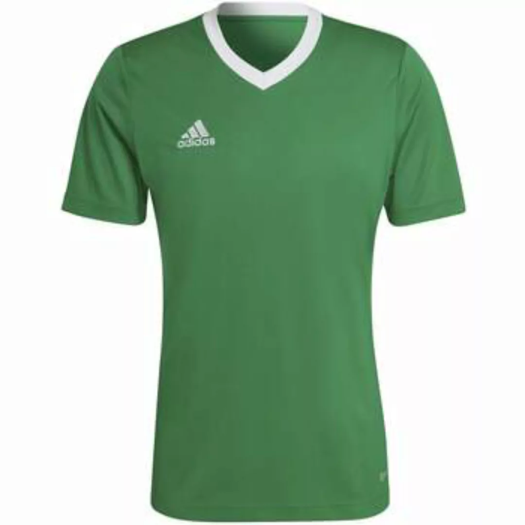 adidas  T-Shirts & Poloshirts T-Shirt  Ent22 Jsy Teagrn/W günstig online kaufen