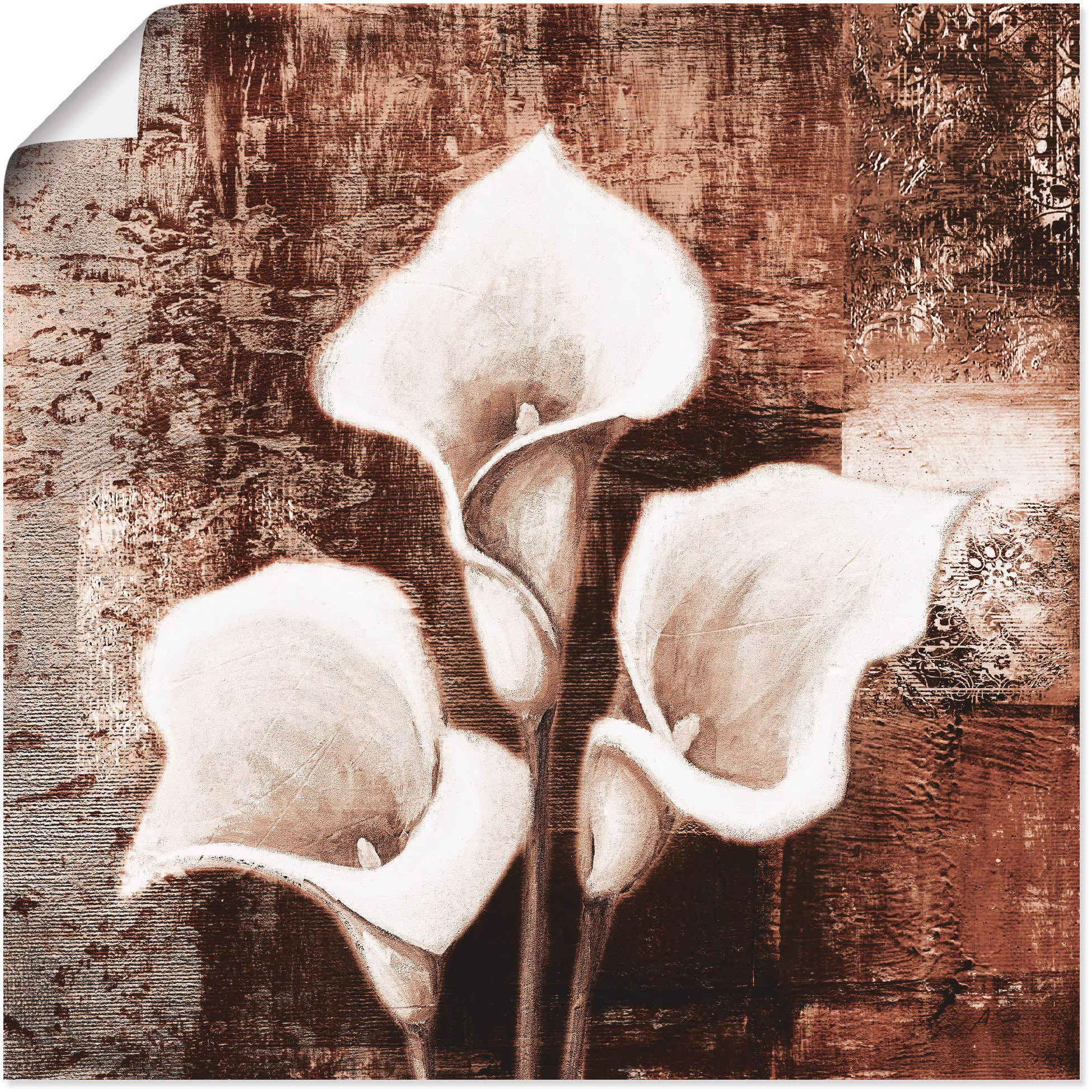 Artland Wandbild »Antike Callas - braun«, Blumen, (1 St.), als Leinwandbild günstig online kaufen