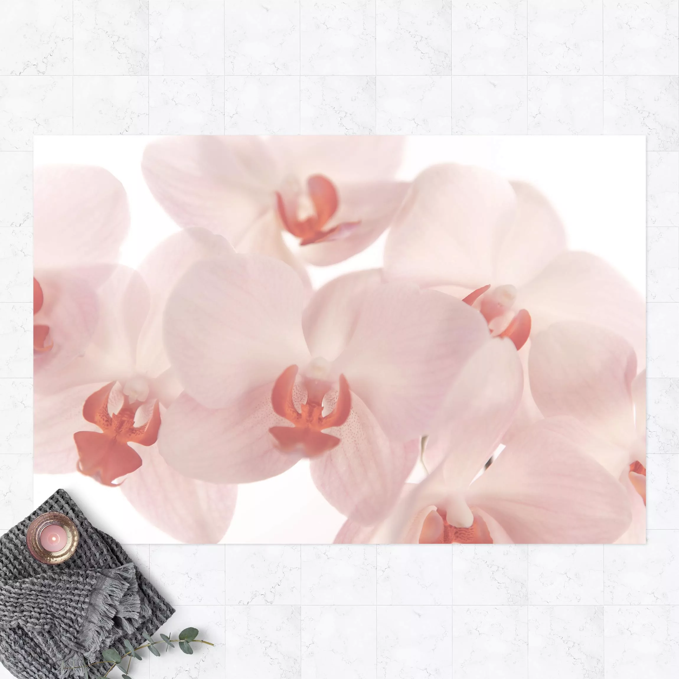 Vinyl-Teppich Helle Orchidee Blumentapete - Svelte Orchids günstig online kaufen