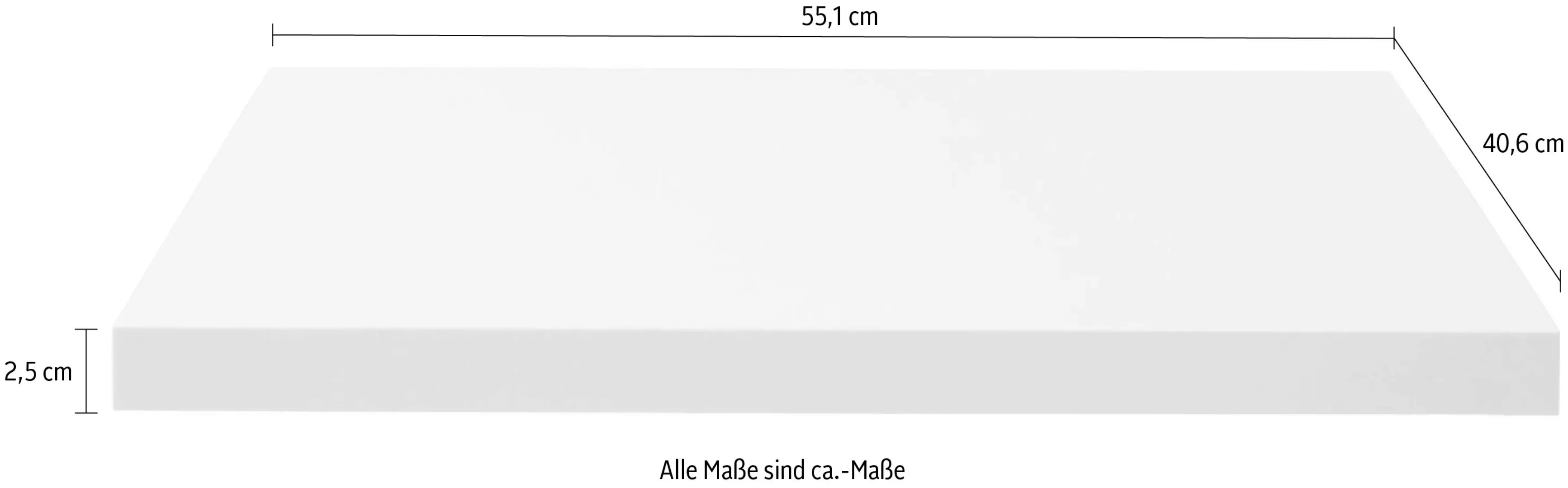 Müller SMALL LIVING Einlegeboden "M20-SB-FB-02", passend zu den Modular Plu günstig online kaufen