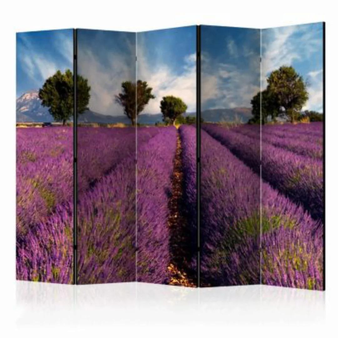 artgeist Paravent Lavender field in Provence, France II [Room Dividers] meh günstig online kaufen