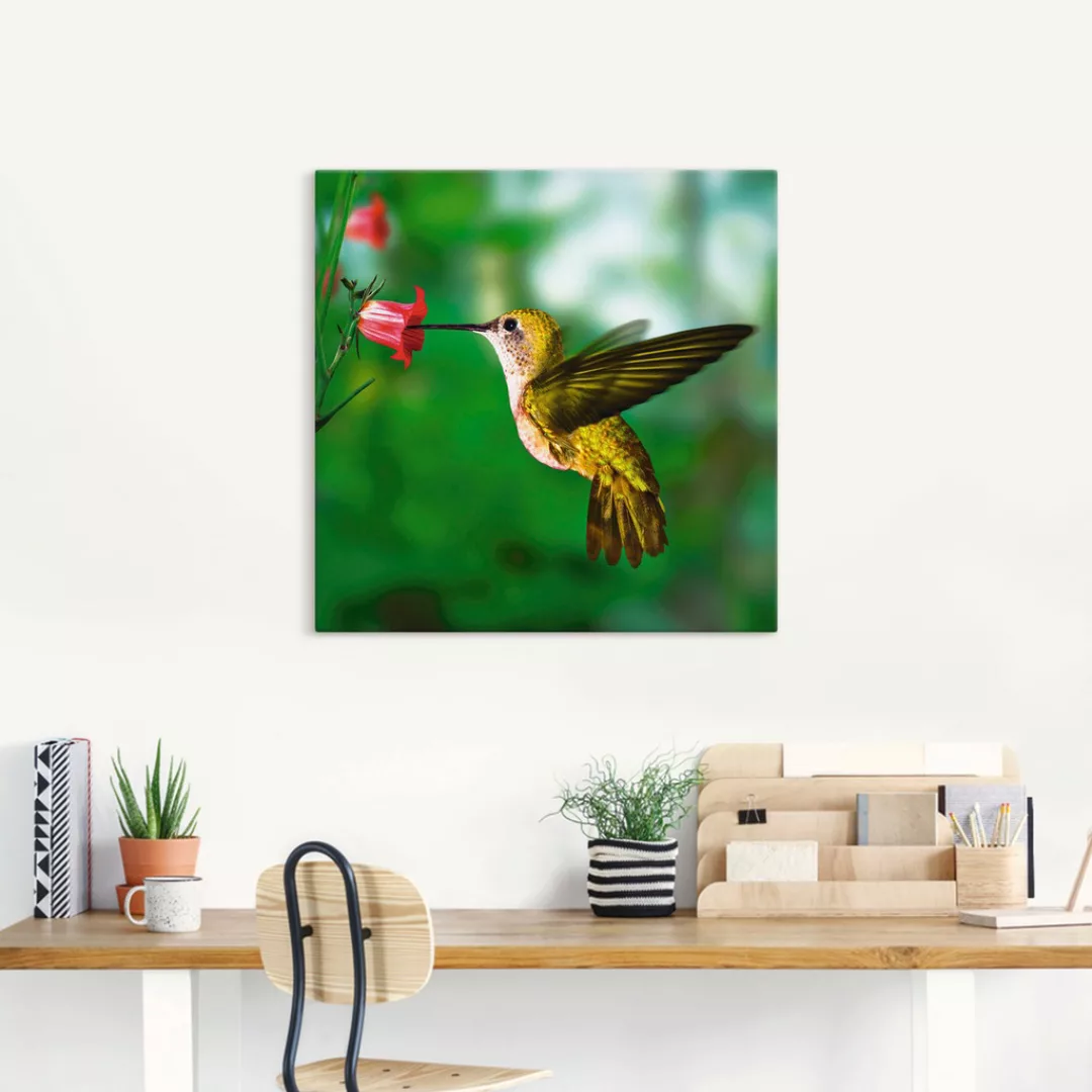 Artland Wandbild "Kolibri", Vögel, (1 St.), als Alubild, Outdoorbild, Leinw günstig online kaufen