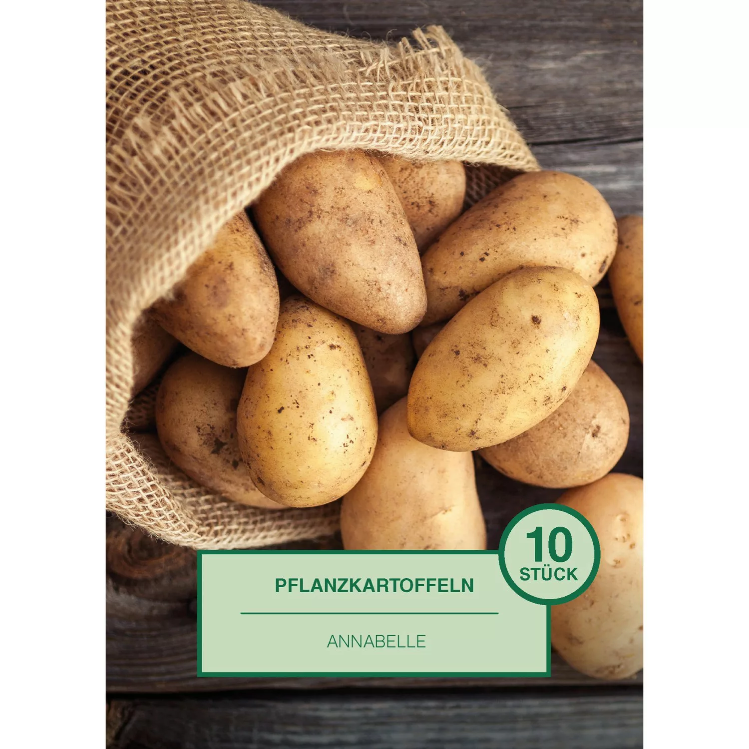 Pflanzkartoffel 10 Stück Solanum tuberosum Annabelle günstig online kaufen