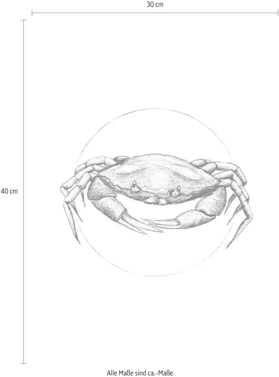 Komar Poster »Crab White«, Tiere, (1 St.) günstig online kaufen