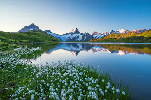 Papermoon Fototapete »LANDSCHAFT-GEBIRGE BERGE SEE ALPEN BLUMEN NATUR TAPET günstig online kaufen