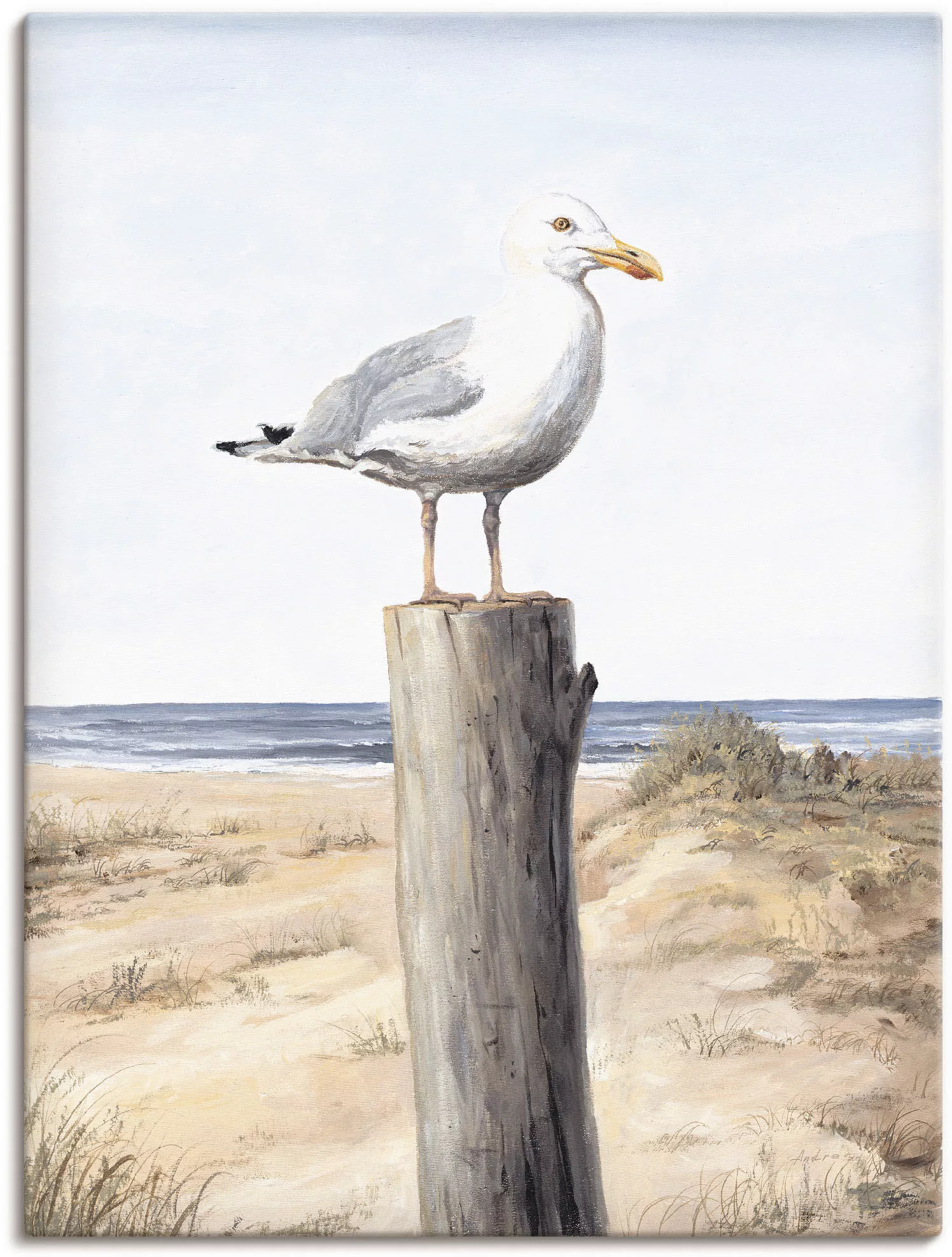 Artland Wandbild "Möwe", Vögel, (1 St.) günstig online kaufen