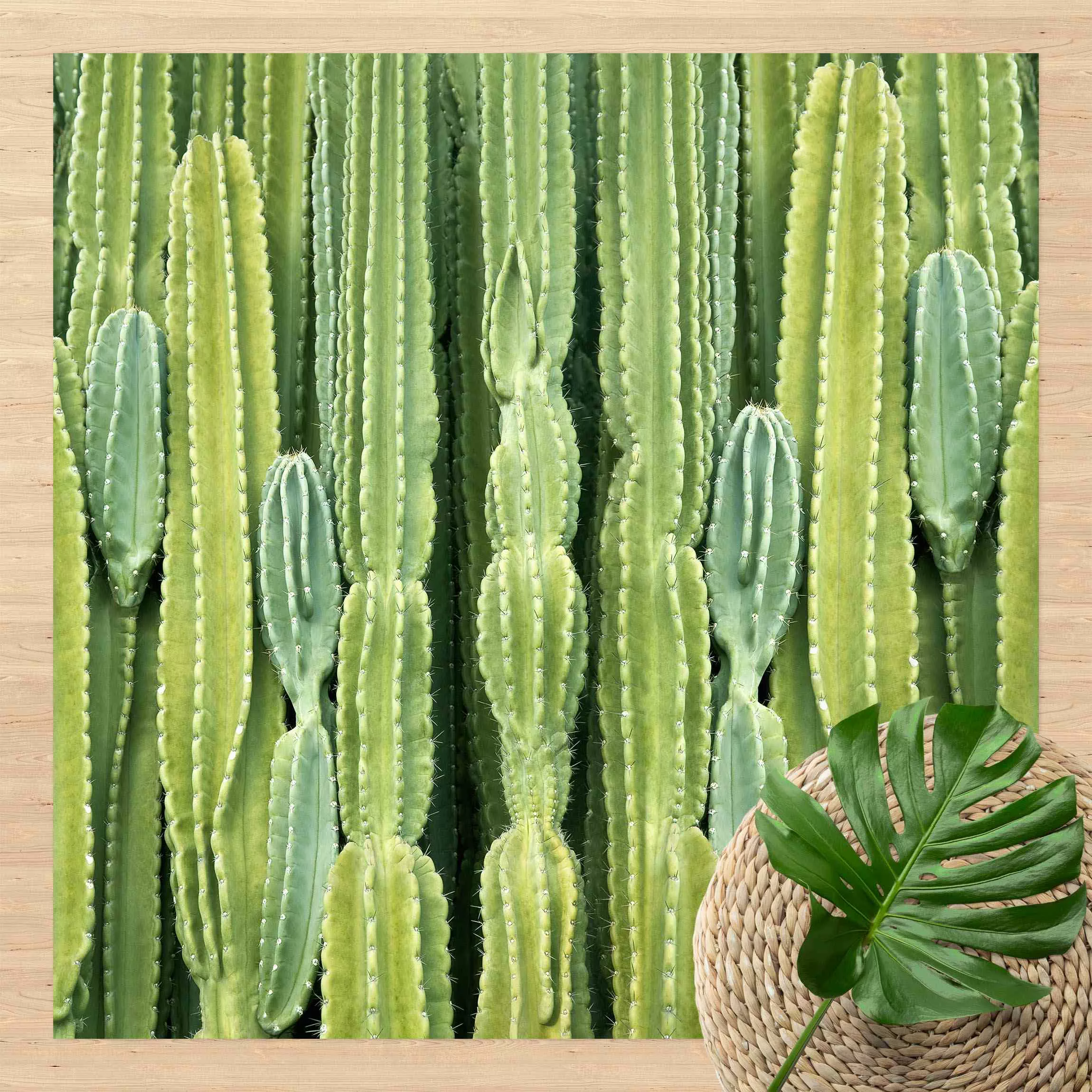 Vinyl-Teppich Kaktus Wand günstig online kaufen