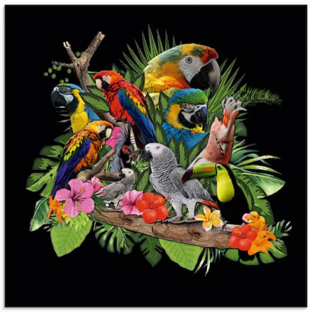 Artland Glasbild "Papageien Graupapagei Kakadu Dschungel", Vögel, (1 St.), günstig online kaufen