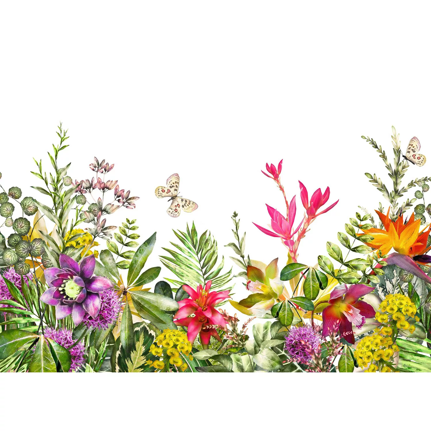 Fototapete Floral Blumen Schmetterling Bunt Weiß 3,50 m x 2,55 m FSC® günstig online kaufen