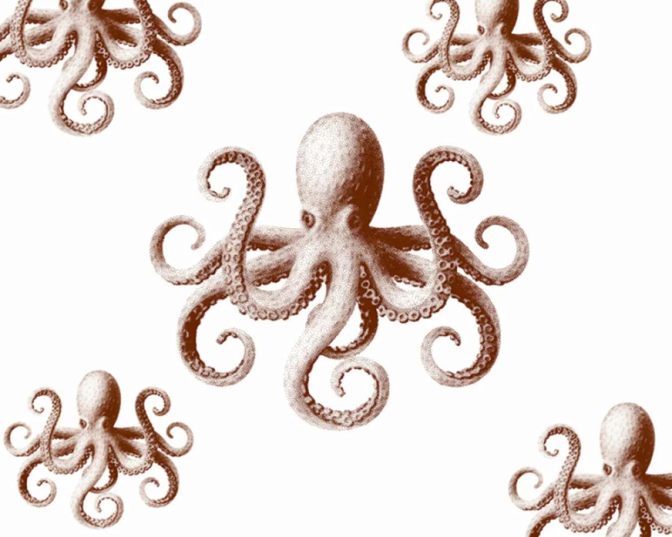 Fototapete "Octopusse rot" 6,00x2,50 m / Glattvlies Brillant günstig online kaufen