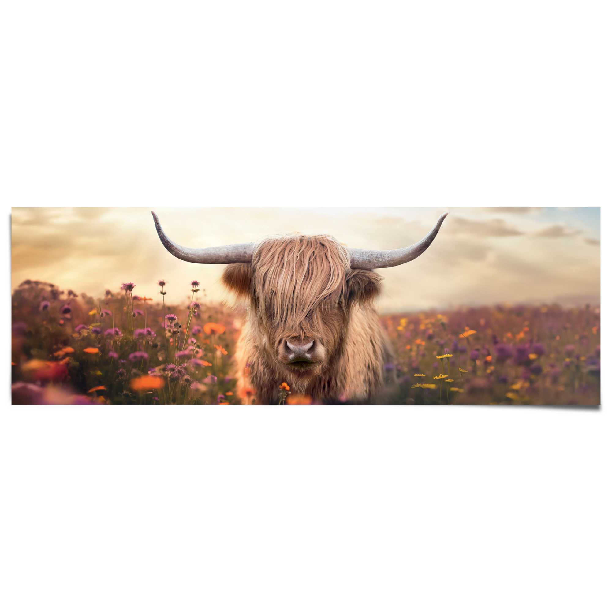 Reinders Poster "Spring Highlander" günstig online kaufen