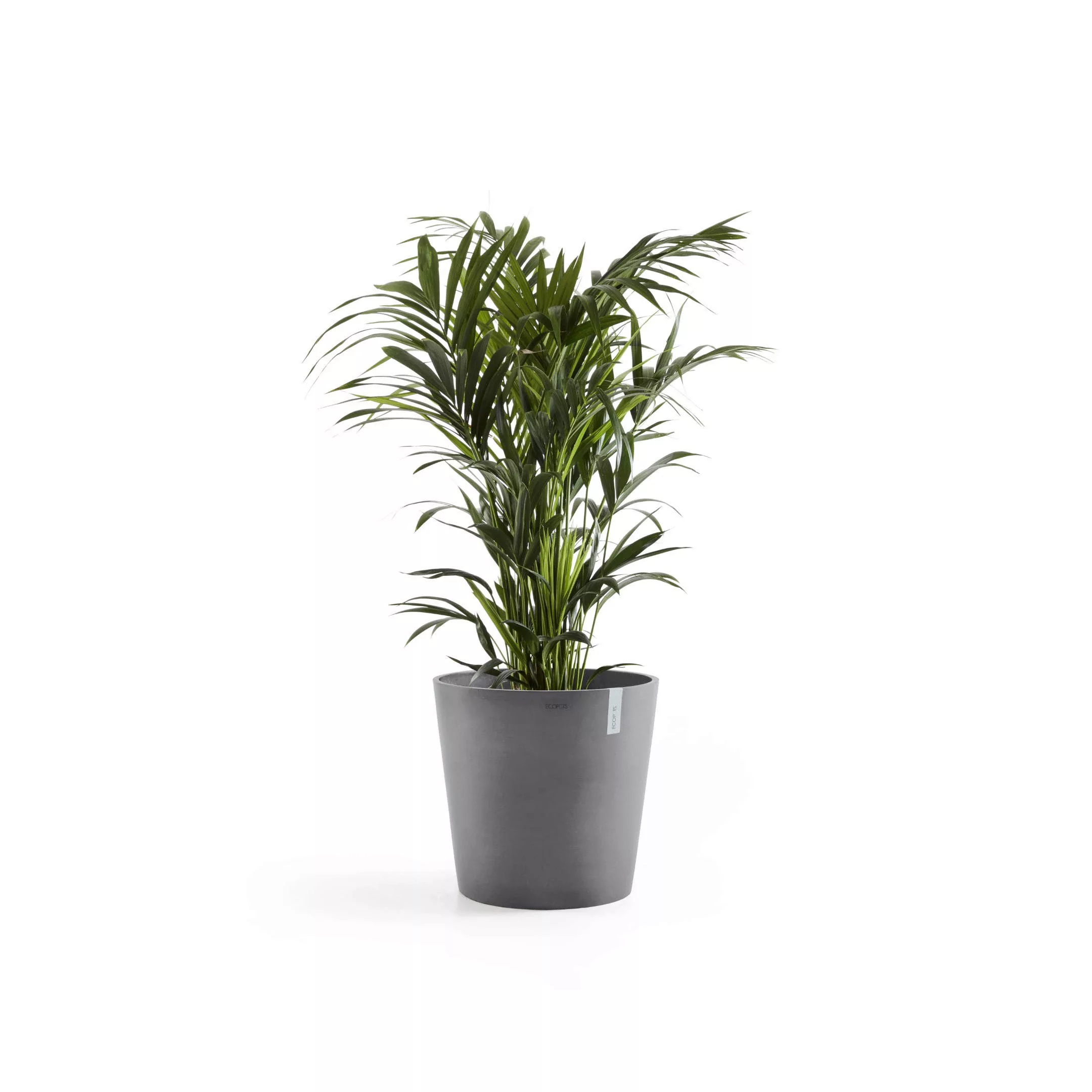 Ecopots Pflanztopf Amsterdam Ø 50 cm x 44 cm Grau günstig online kaufen