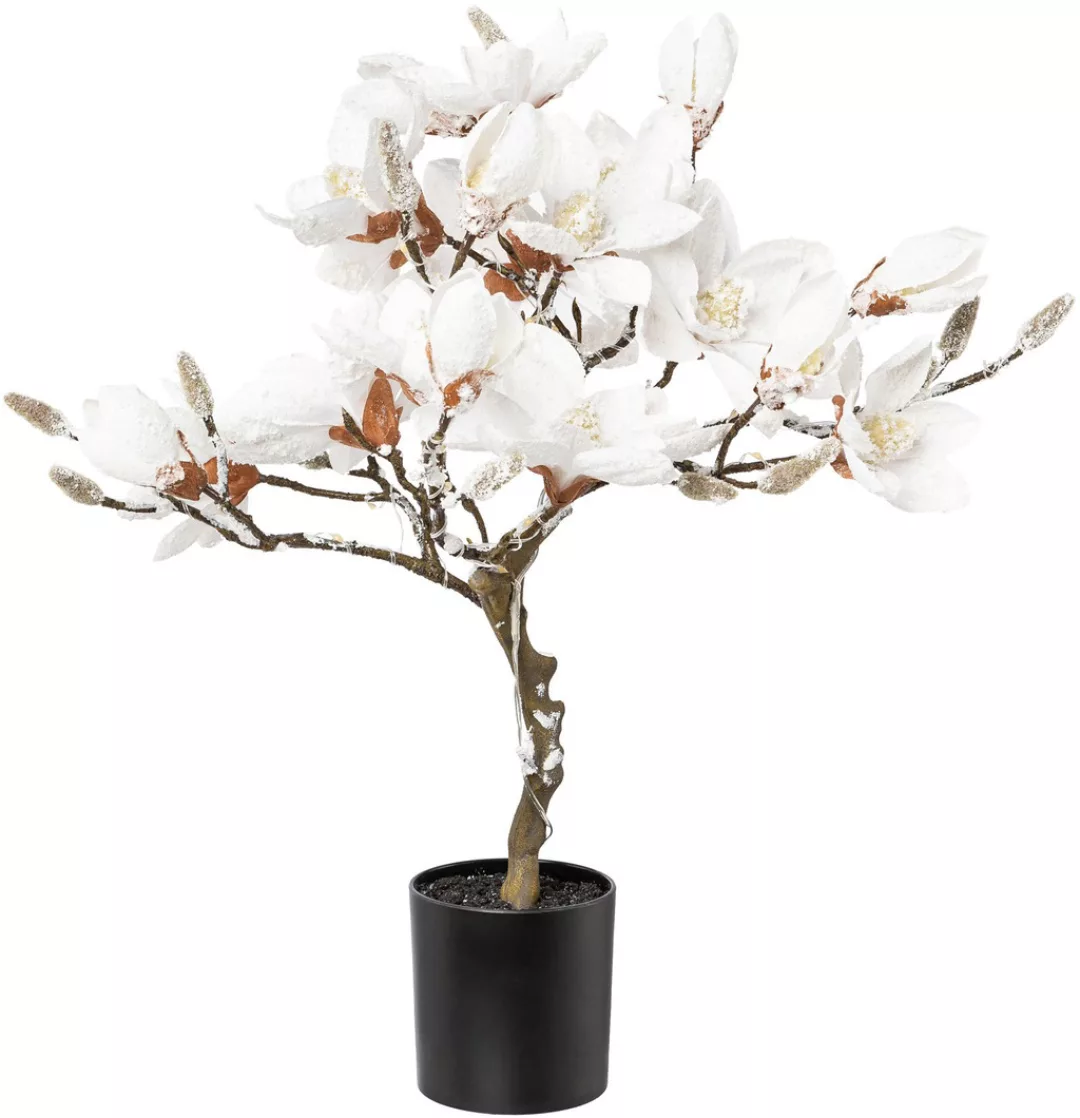 Creativ deco Kunstpflanze "Magnolie", beschneit, mit 20 LEDs günstig online kaufen