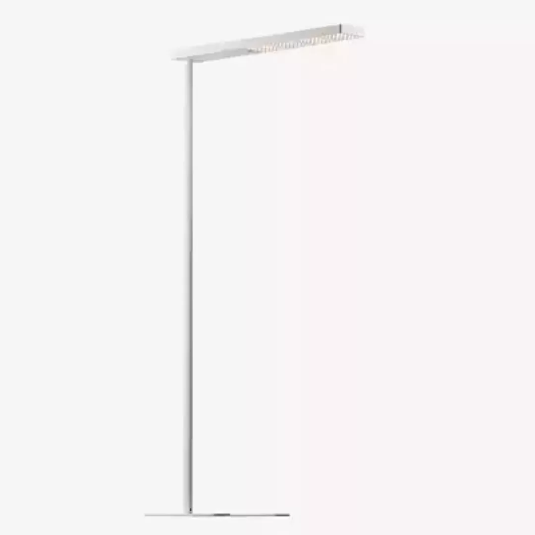 Grau Xt-a Plus Stehleuchte LED, weiß/weiß - 98 cm günstig online kaufen