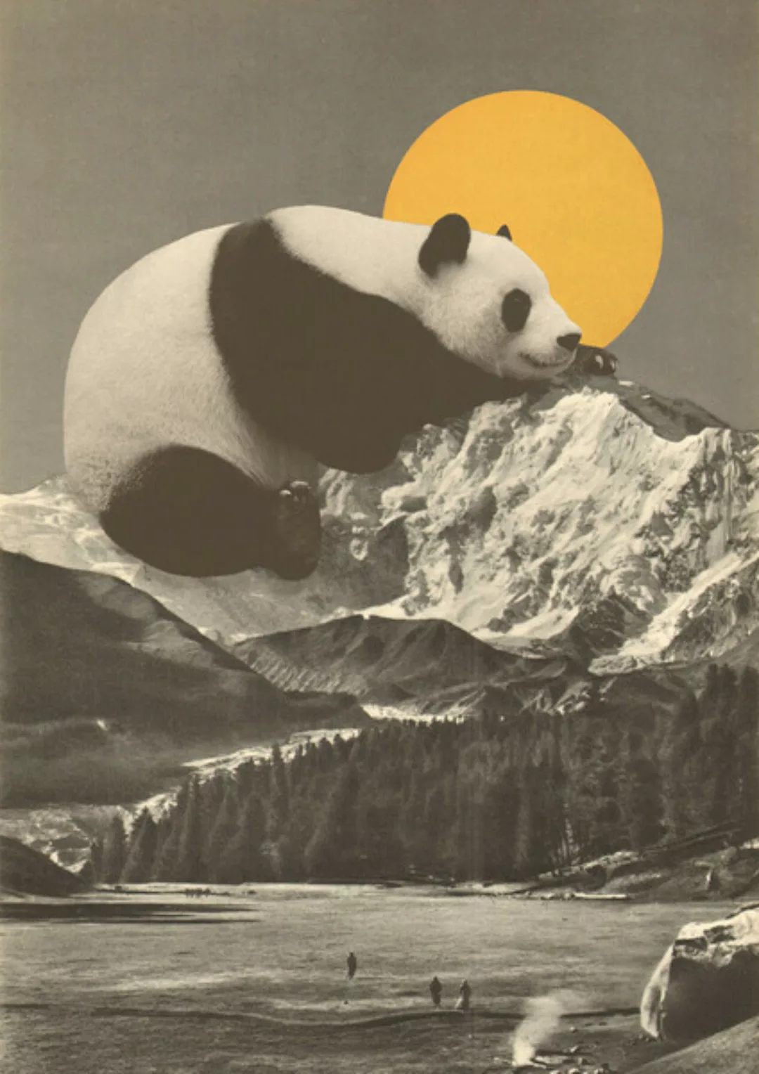 Poster / Leinwandbild - Giant Panda Nap günstig online kaufen