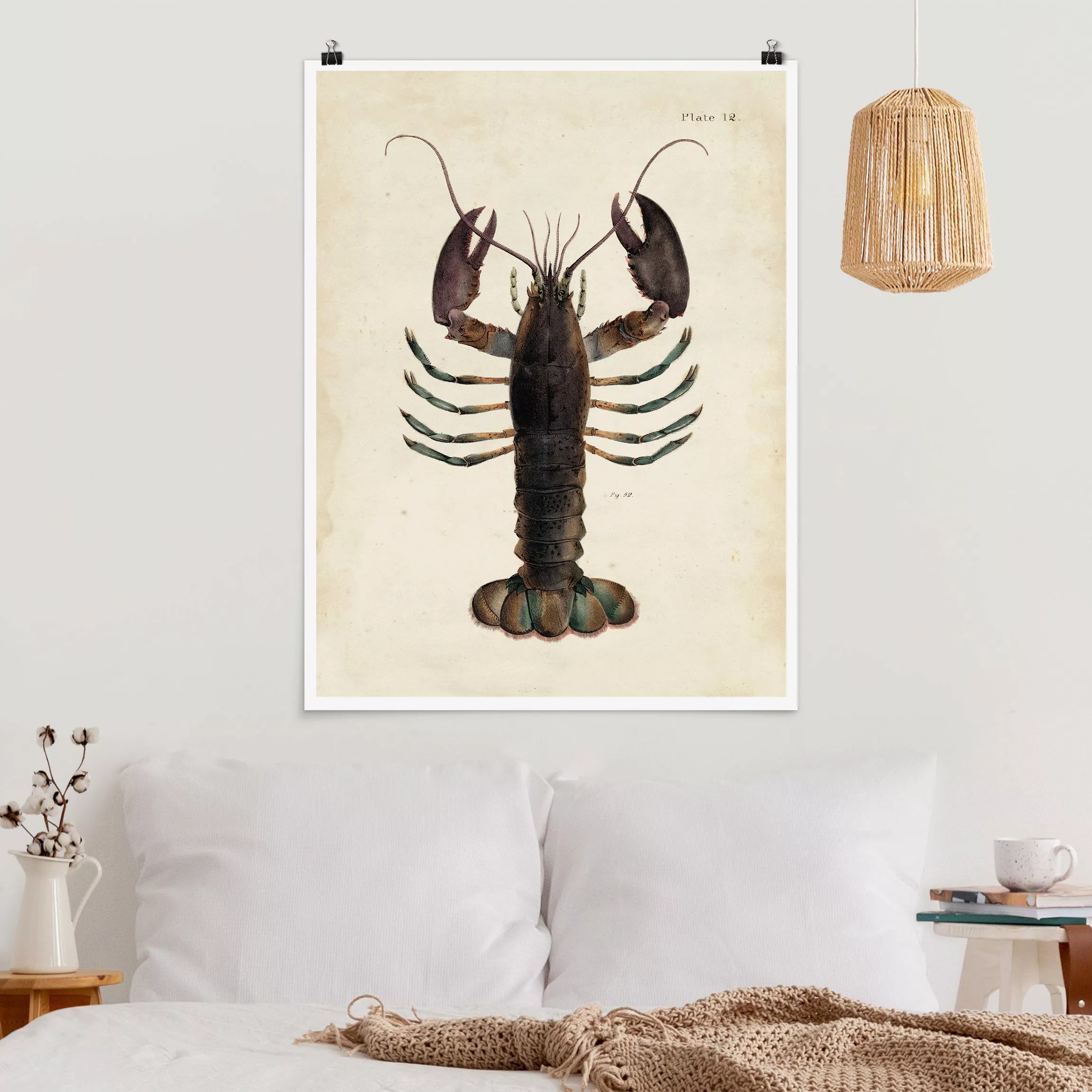 Poster Vintage Illustration Hummer günstig online kaufen