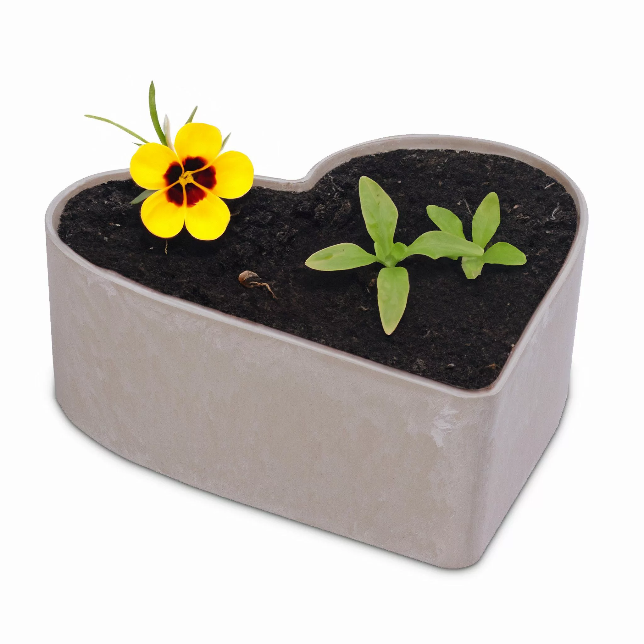 matches21 HOME & HOBBY Blumentopf Herz günstig online kaufen