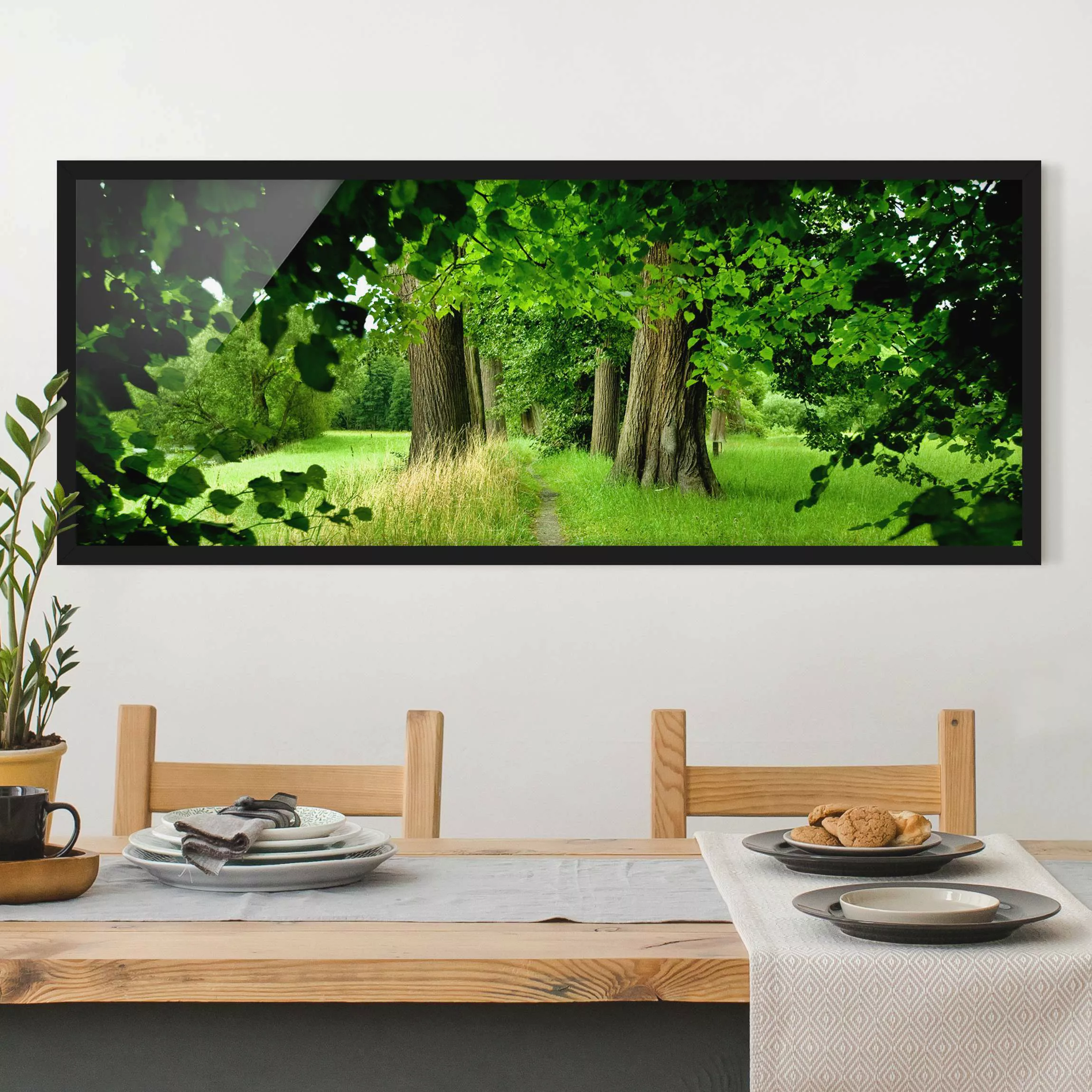 Bild mit Rahmen Natur & Landschaft - Panorama Verborgene Lichtung günstig online kaufen
