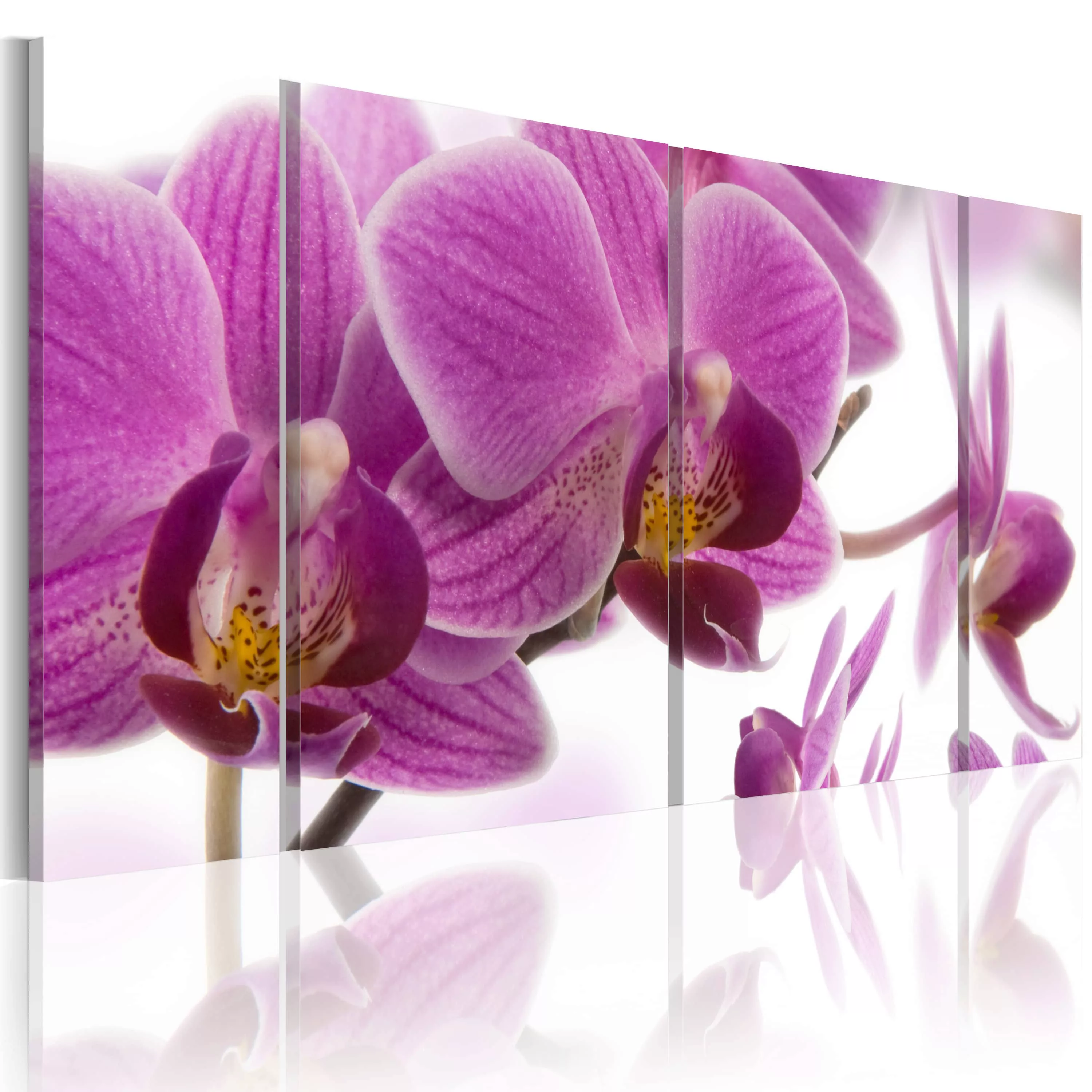 Wandbild - Marvelous orchid günstig online kaufen