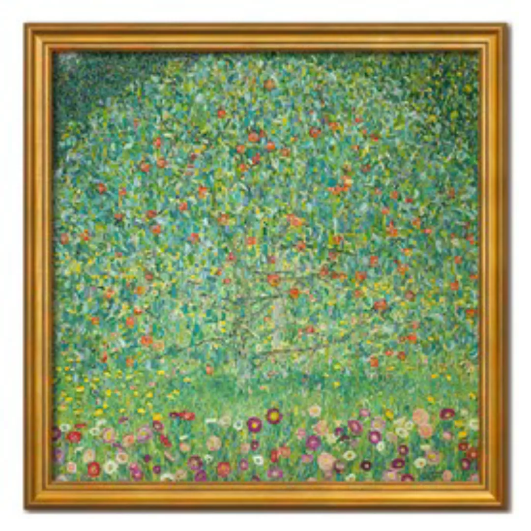 Bild 'Apfelbaum' Gustav Klimt H78xB77cm günstig online kaufen