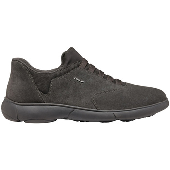 Geox  Sneaker U Nebula 2.0 sneaker slip on günstig online kaufen