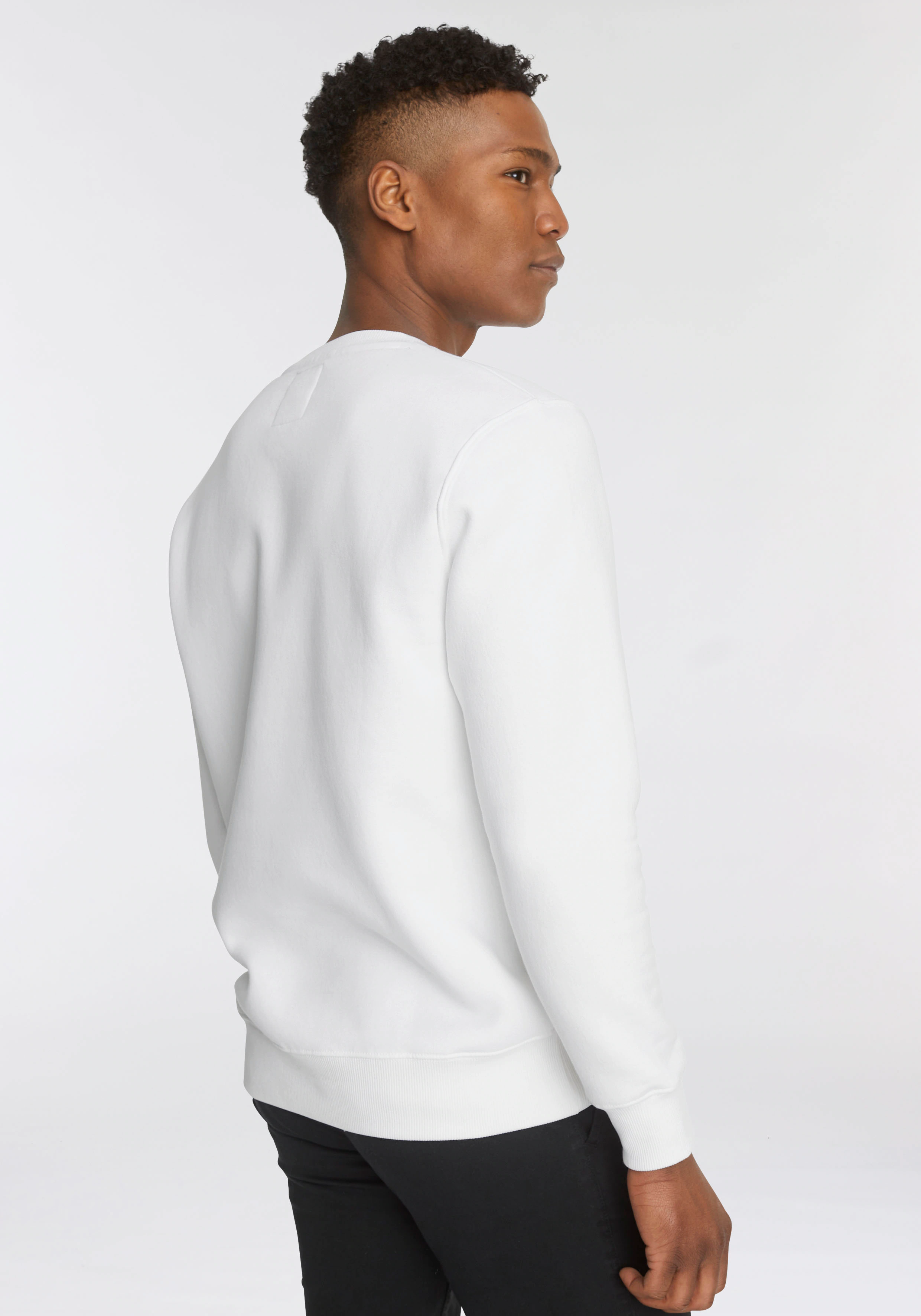 Alpha Industries Sweatshirt Basic Sweater günstig online kaufen