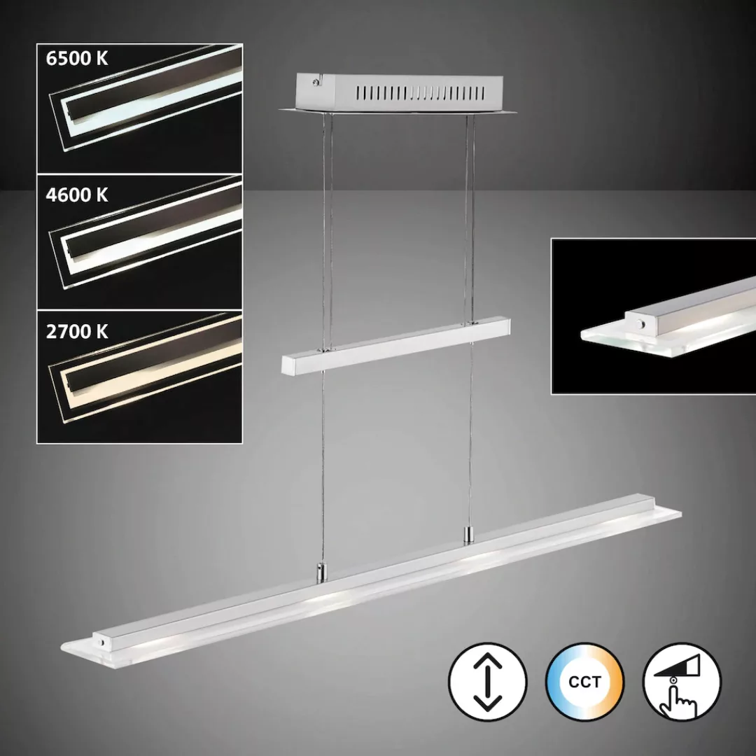 FISCHER & HONSEL Pendelleuchte »Tenso«, 1 flammig, Leuchtmittel LED-Modul günstig online kaufen