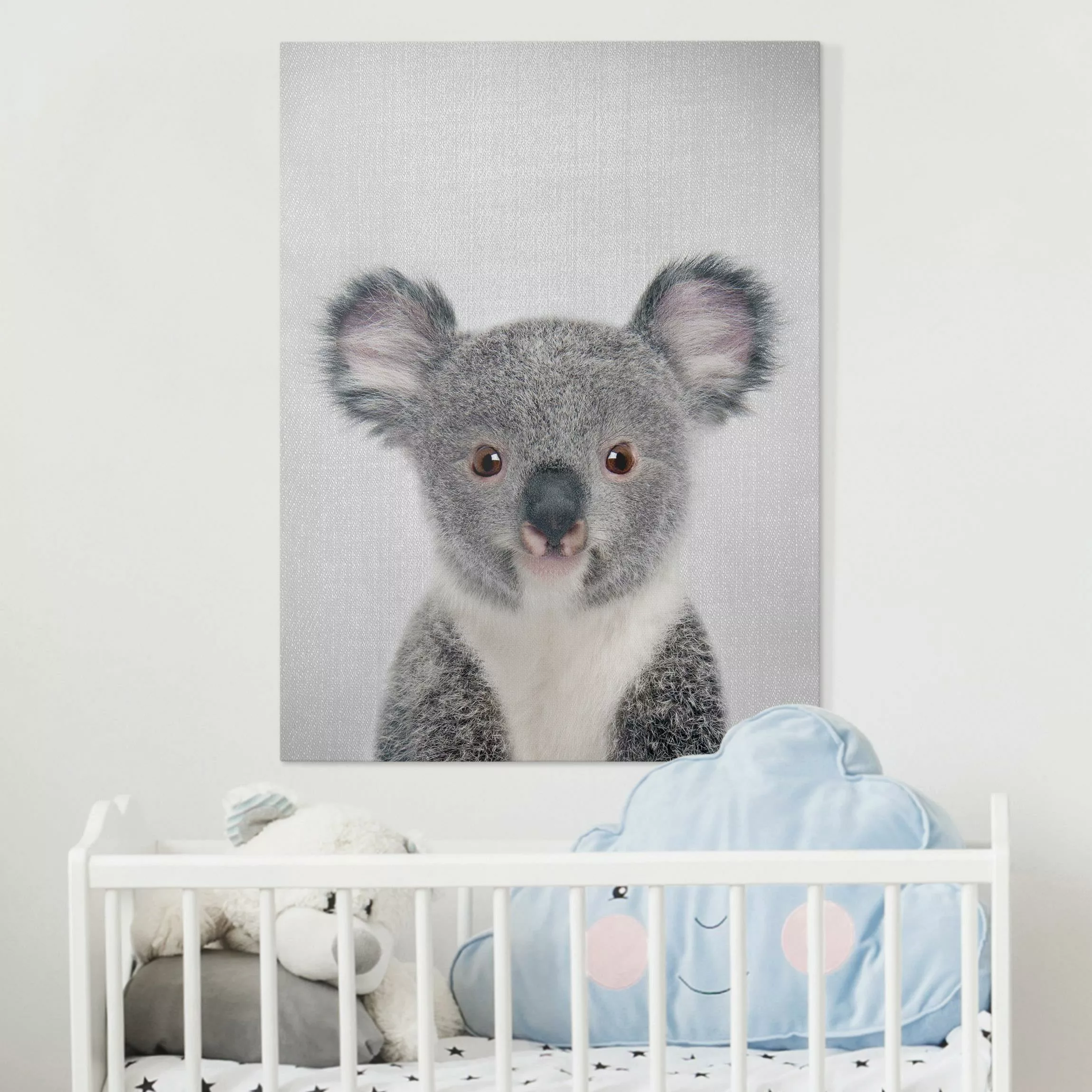 Leinwandbild Baby Koala Klara günstig online kaufen