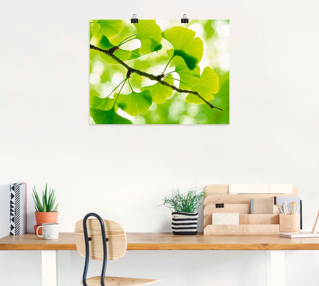 Artland Wandbild "Ginkgo", Blätter, (1 St.), als Leinwandbild, Poster in ve günstig online kaufen