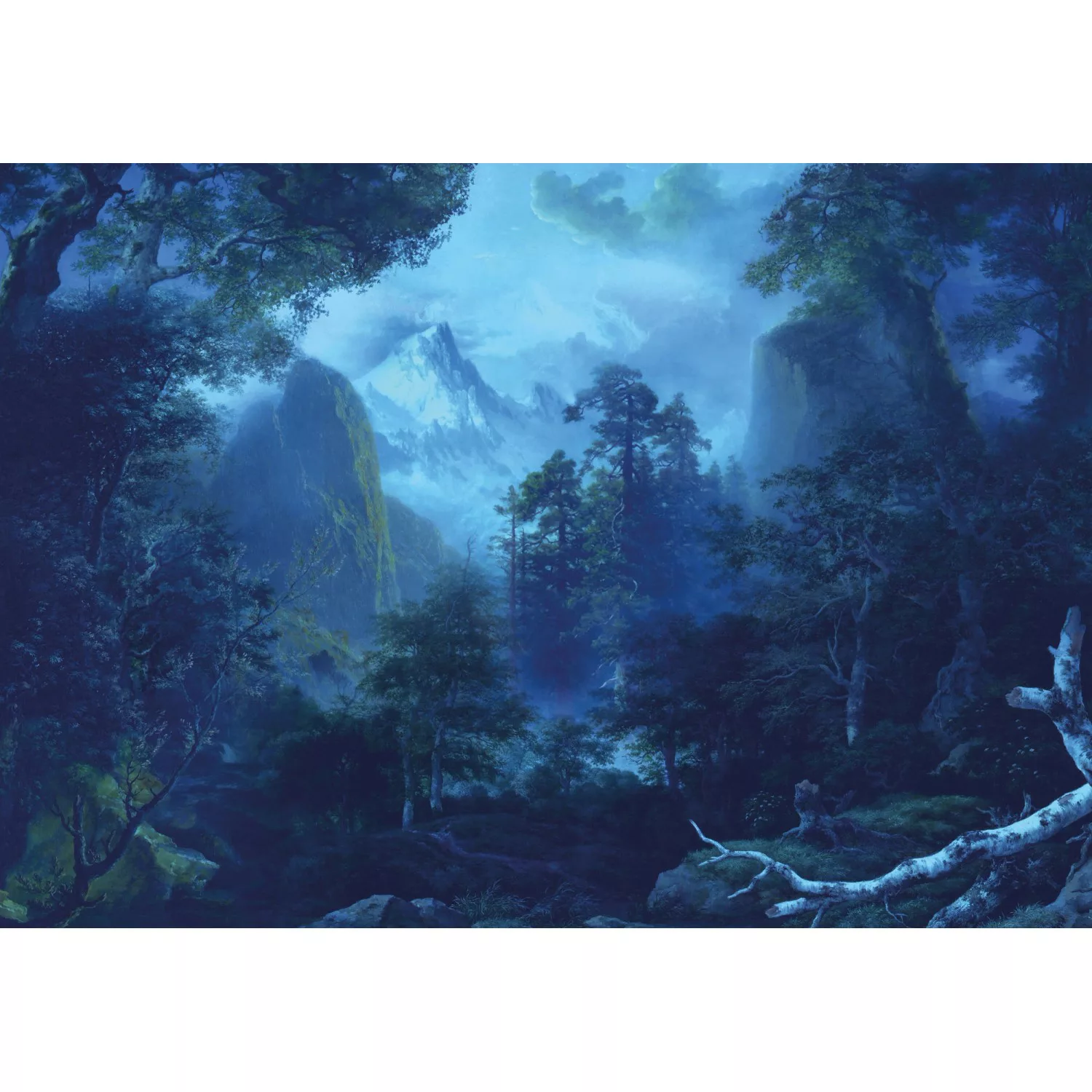 KOMAR Vlies Fototapete - Midnight - Größe 400 x 280 cm mehrfarbig günstig online kaufen