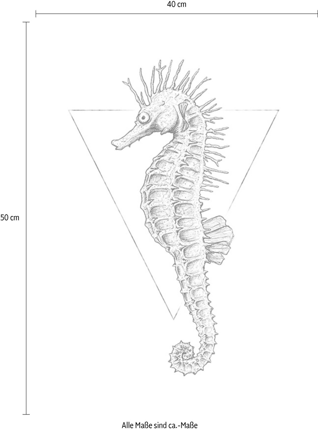 Komar Bild "Sea Horse White", Tiere, (1 St.), Wandbild zur Dekoration - ohn günstig online kaufen