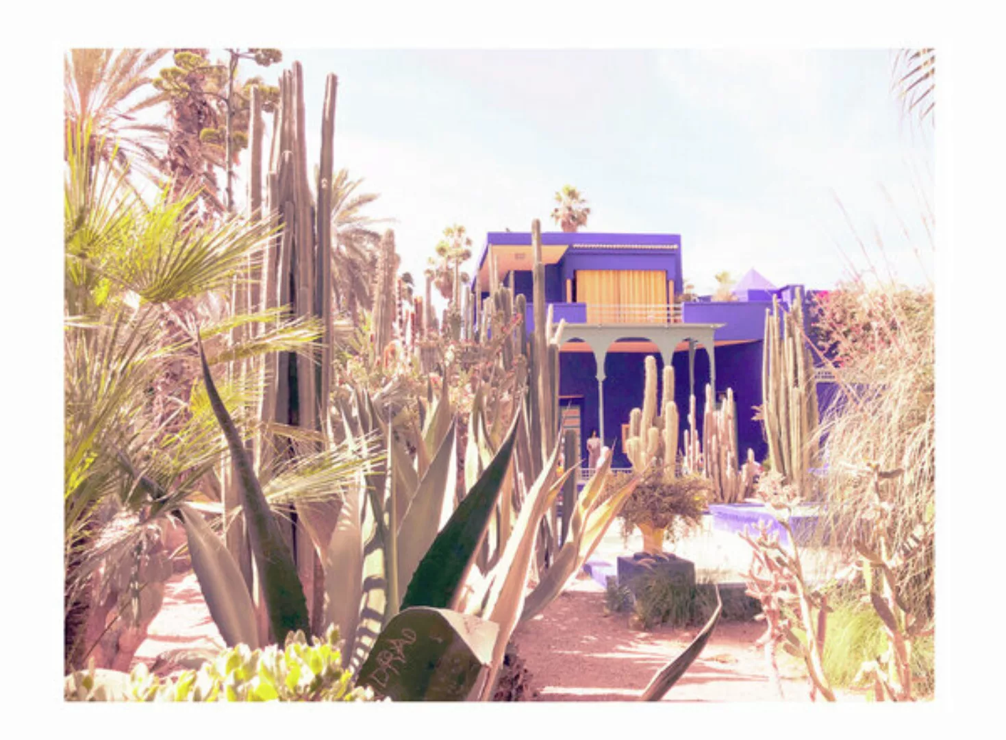 Poster / Leinwandbild - Mantika Jardin De Majorelle günstig online kaufen