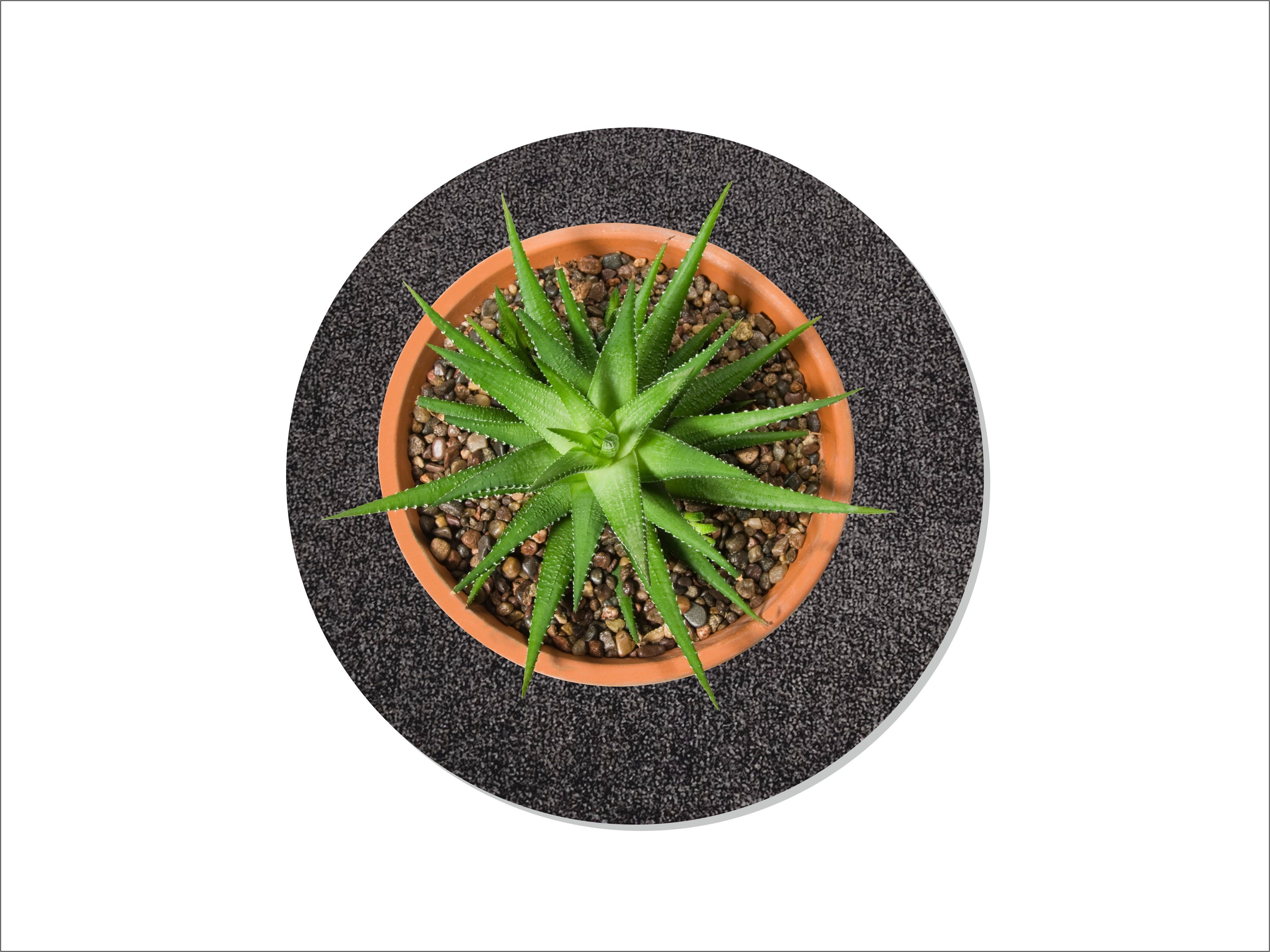 Keilbach Designprodukte Blumentopfuntersetzer Blumentopfunterlage flora-s Ø günstig online kaufen