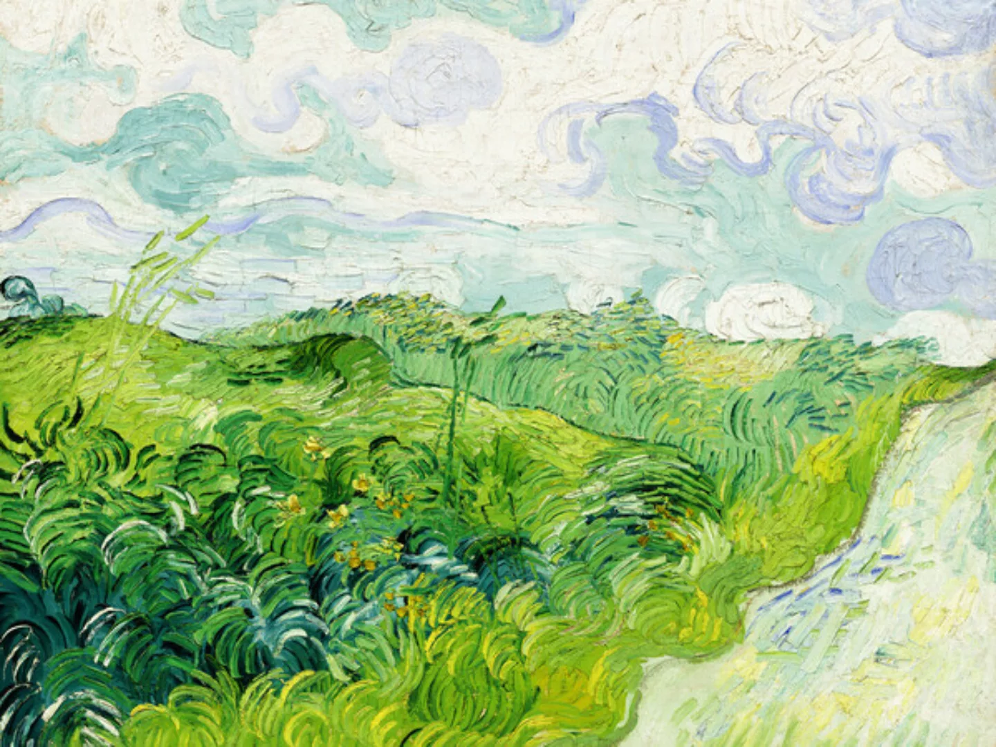 Poster / Leinwandbild - Vincent Van Gogh: Grüne Weizenfelder günstig online kaufen