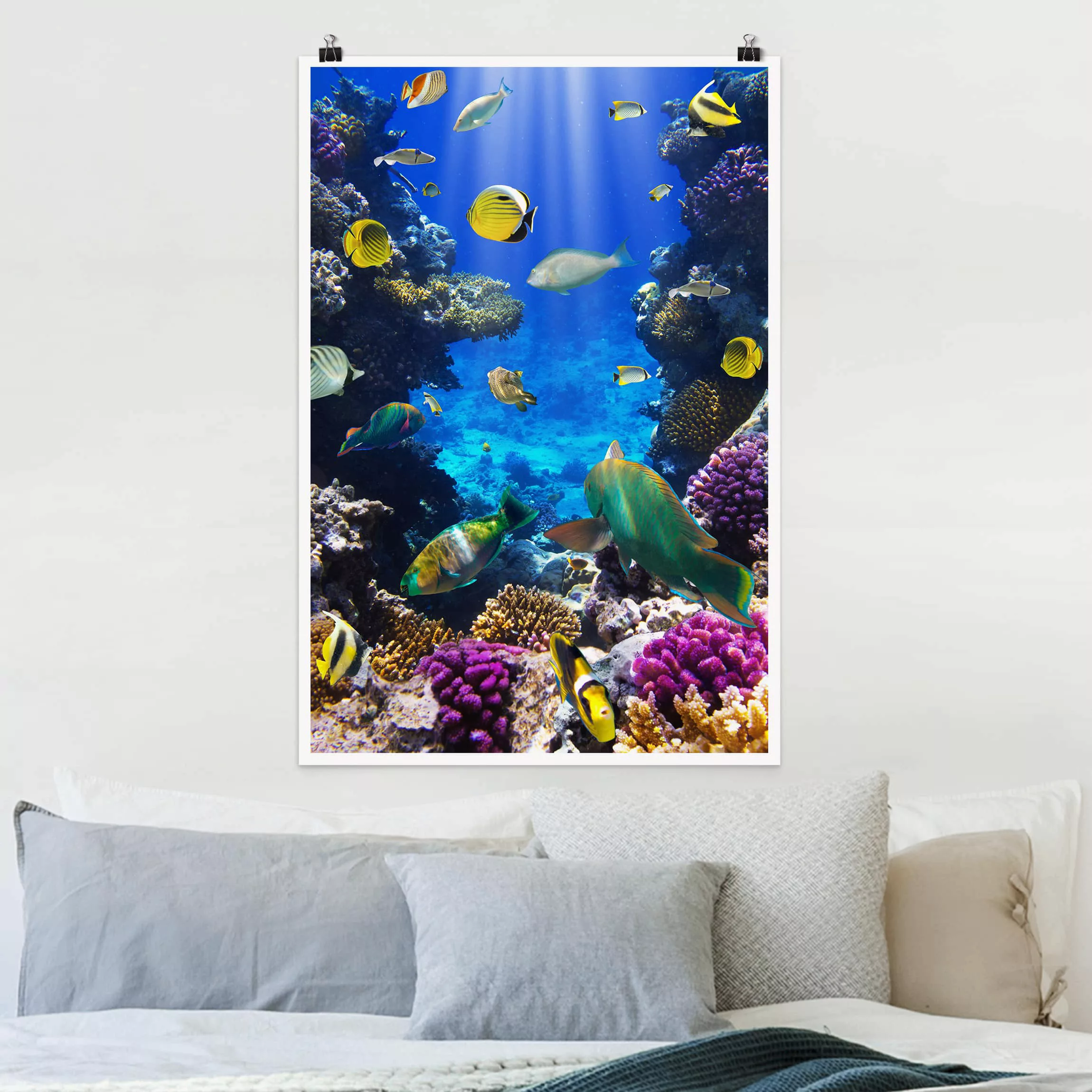 Poster Tiere - Hochformat Underwater Dreams günstig online kaufen